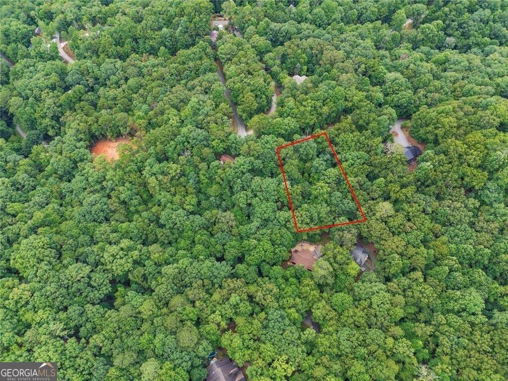 residential lot for sale at LOT674 Riverview Drive, Ellijay, GA 30540 — photo 4