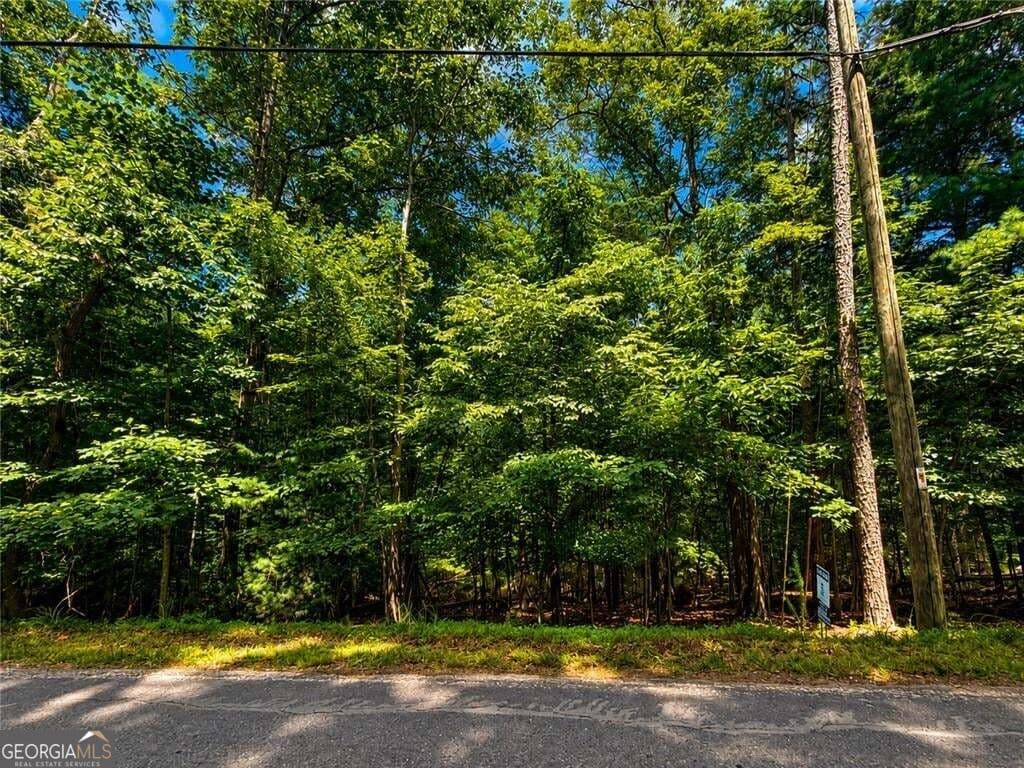 residential lot for sale at LOT674 Riverview Drive, Ellijay, GA 30540 — photo 8