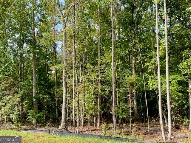 4 bedroom, 4.5 bathroom, 3,332 sq ft single family residence for sale at LOT 171 SNUG HARBOR Place, Newnan, GA 30263 — photo 6