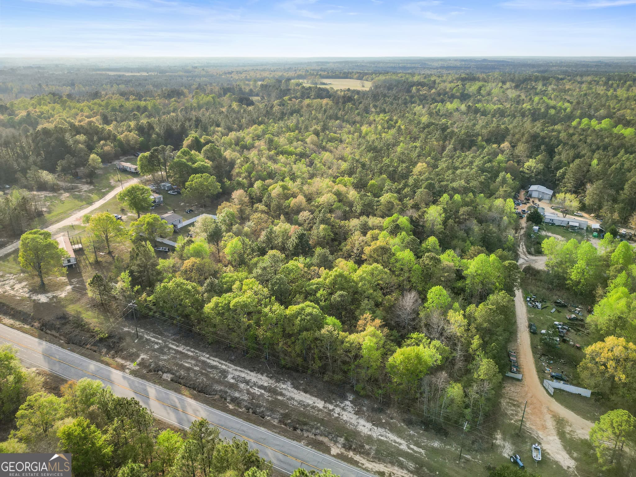 unimproved land for sale at 0 Highway 23, Perkins, GA 30442 — photo 5