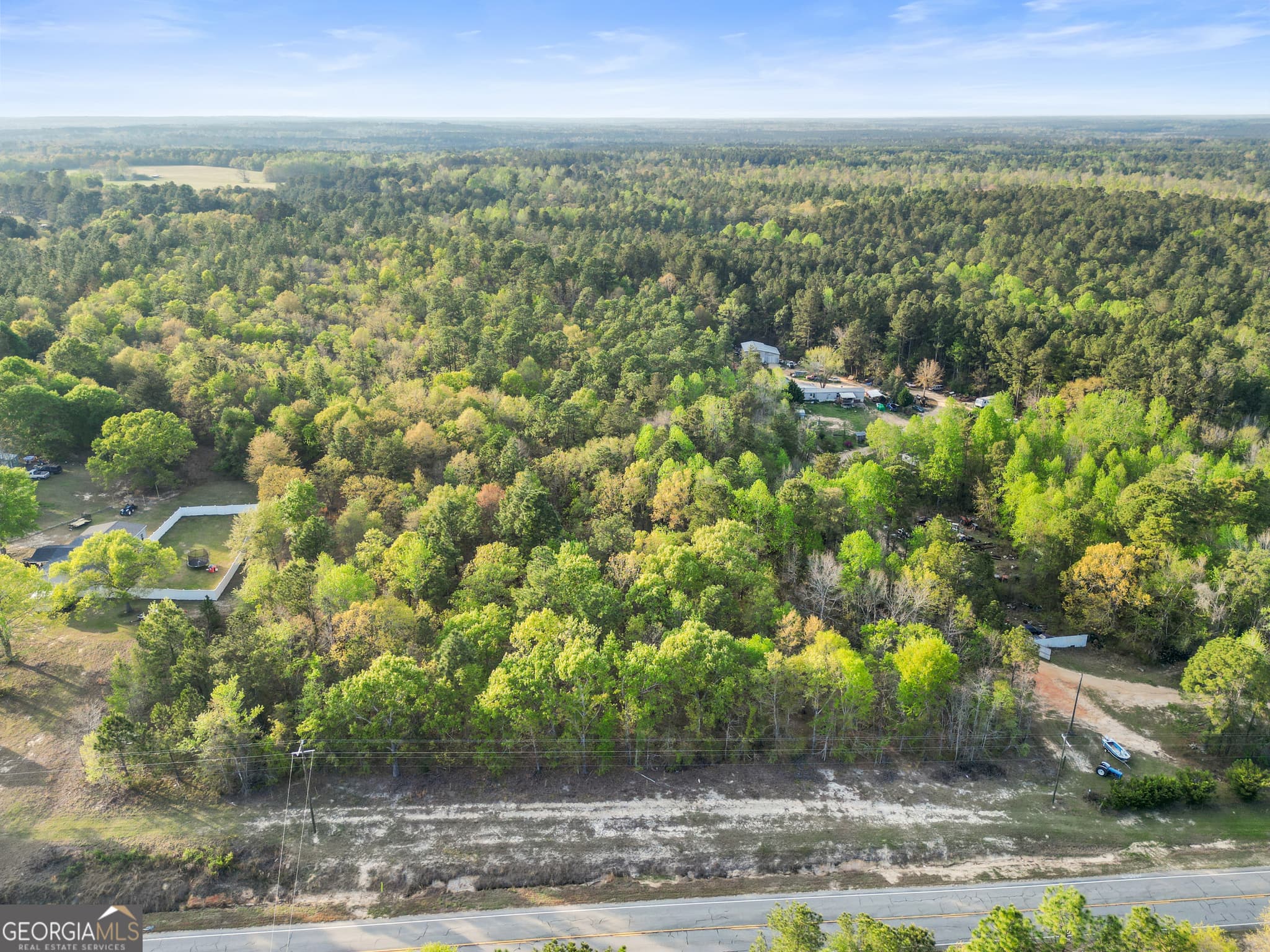 unimproved land for sale at 0 Highway 23, Perkins, GA 30442 — photo 4