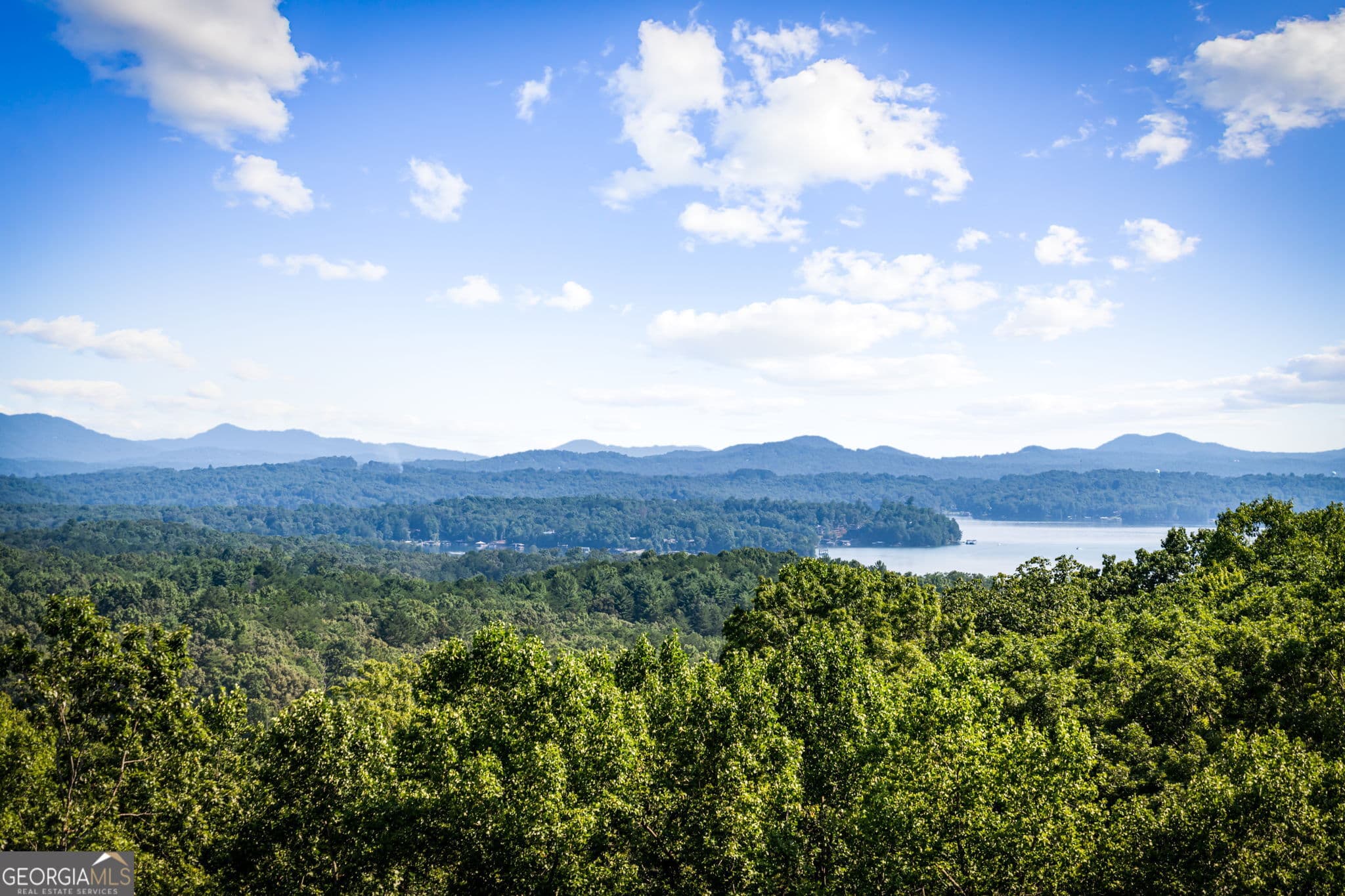 4 bedroom, 4.5 bathroom, 2,800 sq ft cabin,single family residence for sale at 191 Green Ridge Road, Blue Ridge, GA 30513 — photo 2