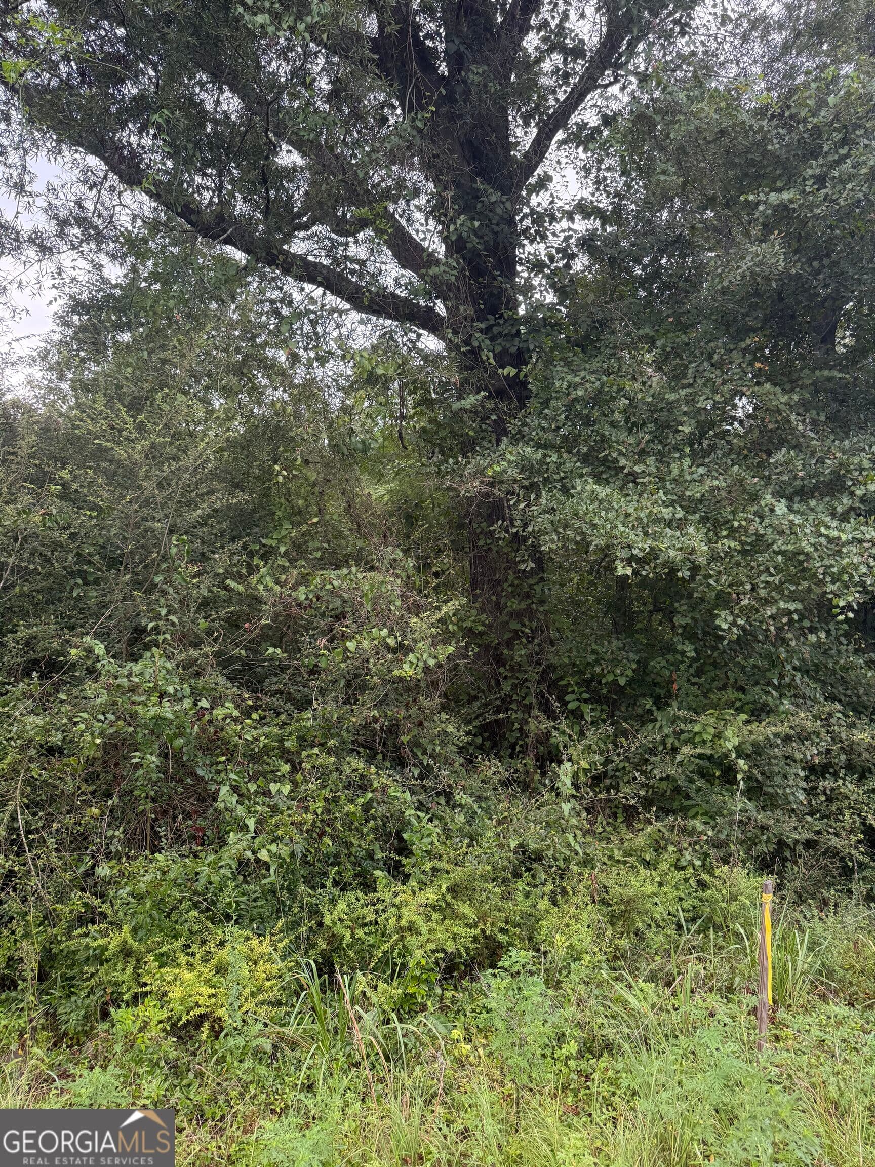unimproved land for sale at LOT 7 Harrison Davisboro Road, Davisboro, GA 31018 — photo 3