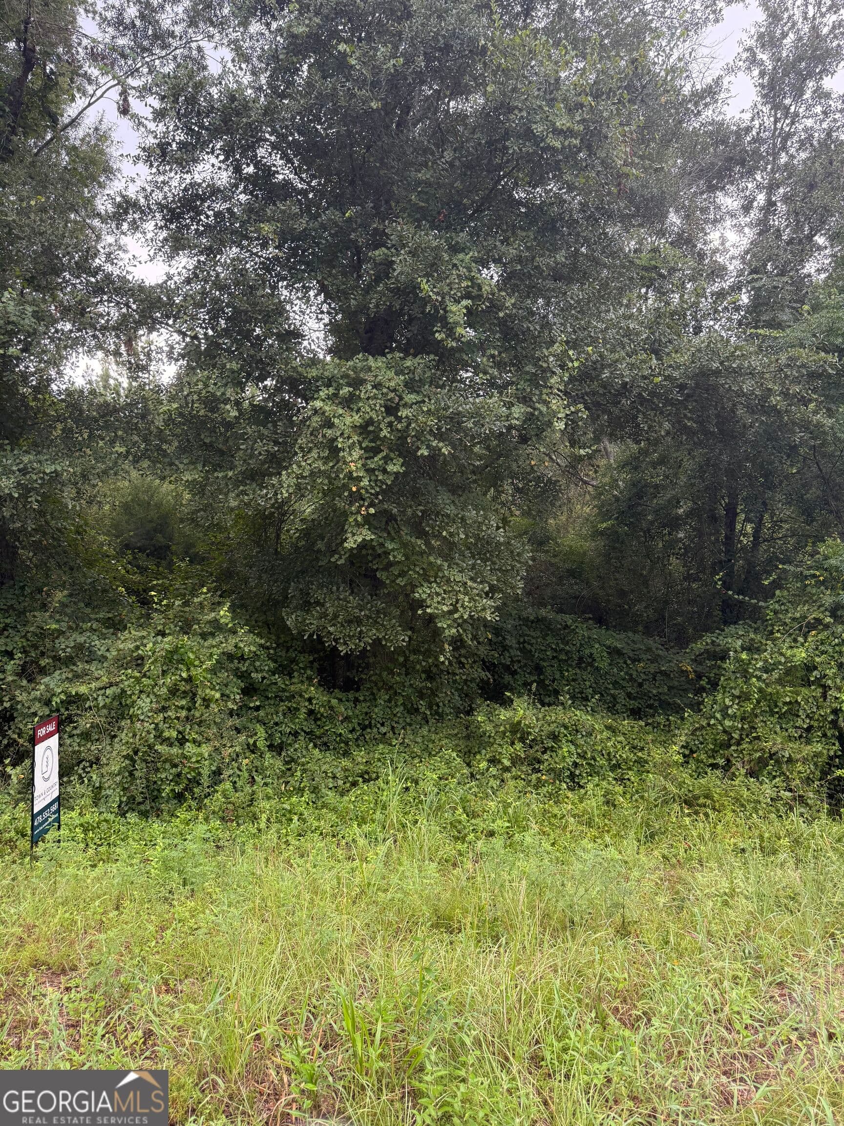 unimproved land for sale at LOT 7 Harrison Davisboro Road, Davisboro, GA 31018 — photo 5
