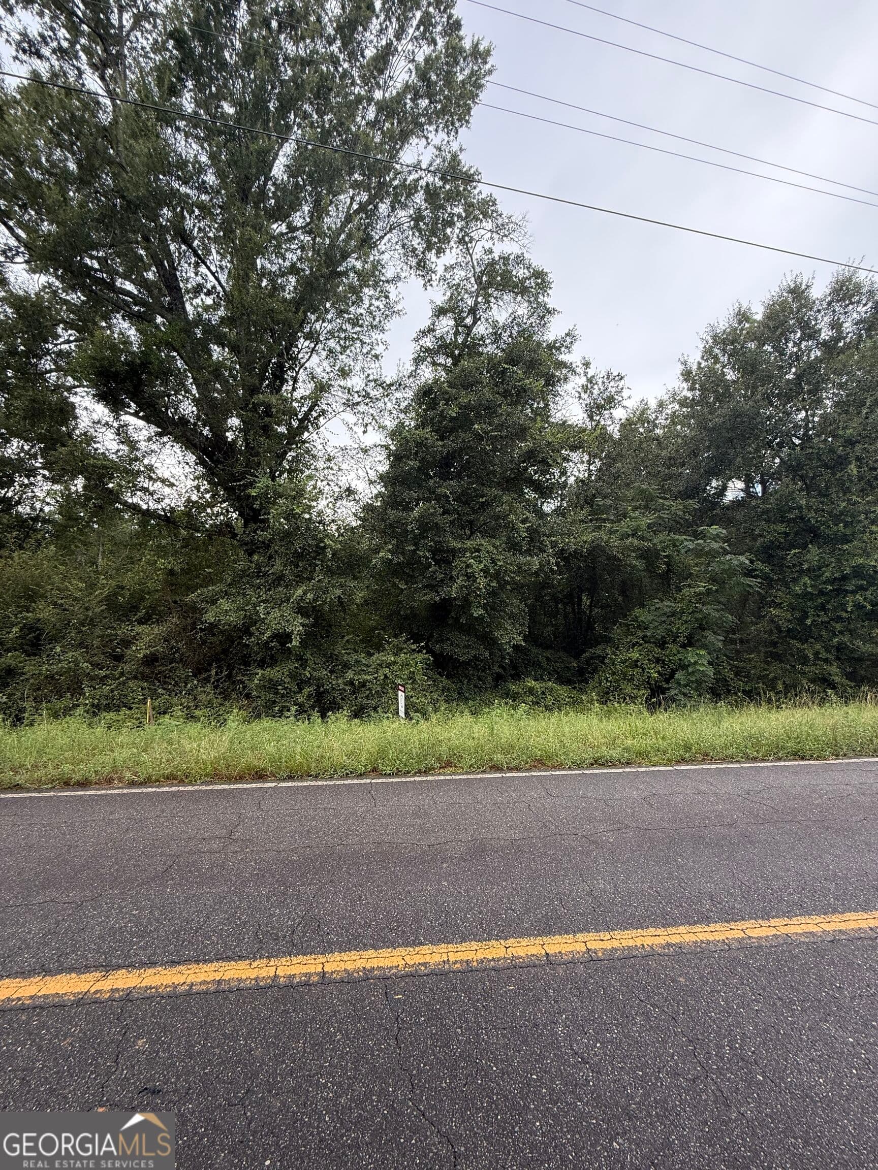 unimproved land for sale at LOT 7 Harrison Davisboro Road, Davisboro, GA 31018 — photo 4