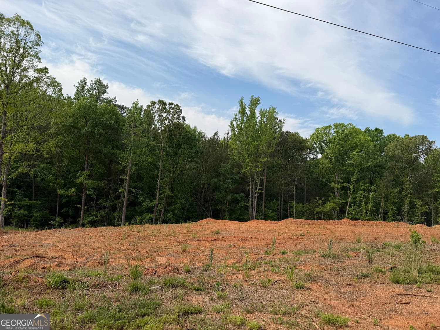estate lot for sale at 1492 English Road, Forsyth, GA 31029 — photo 3