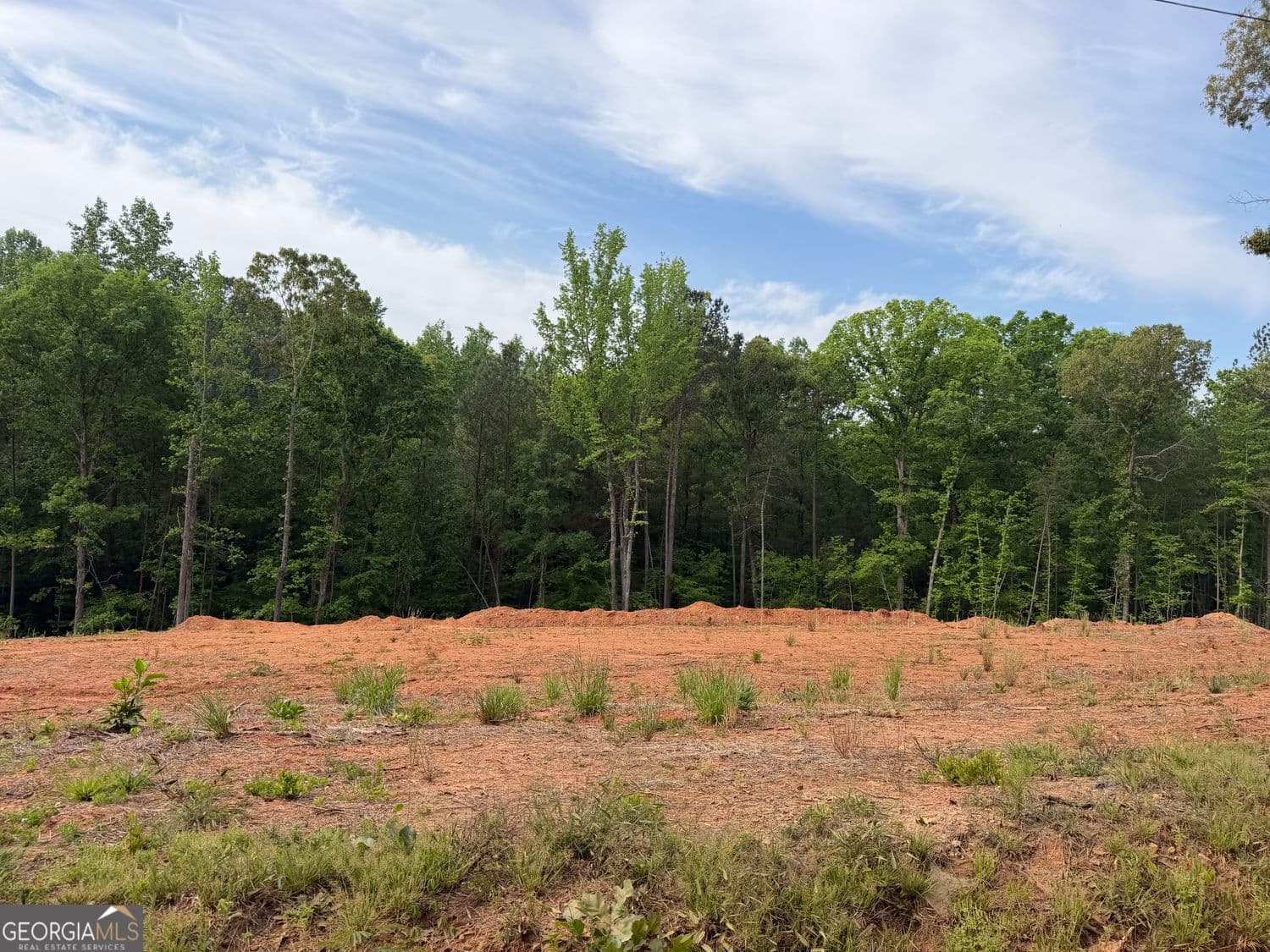 estate lot for sale at 1492 English Road, Forsyth, GA 31029 — photo 1 of 4