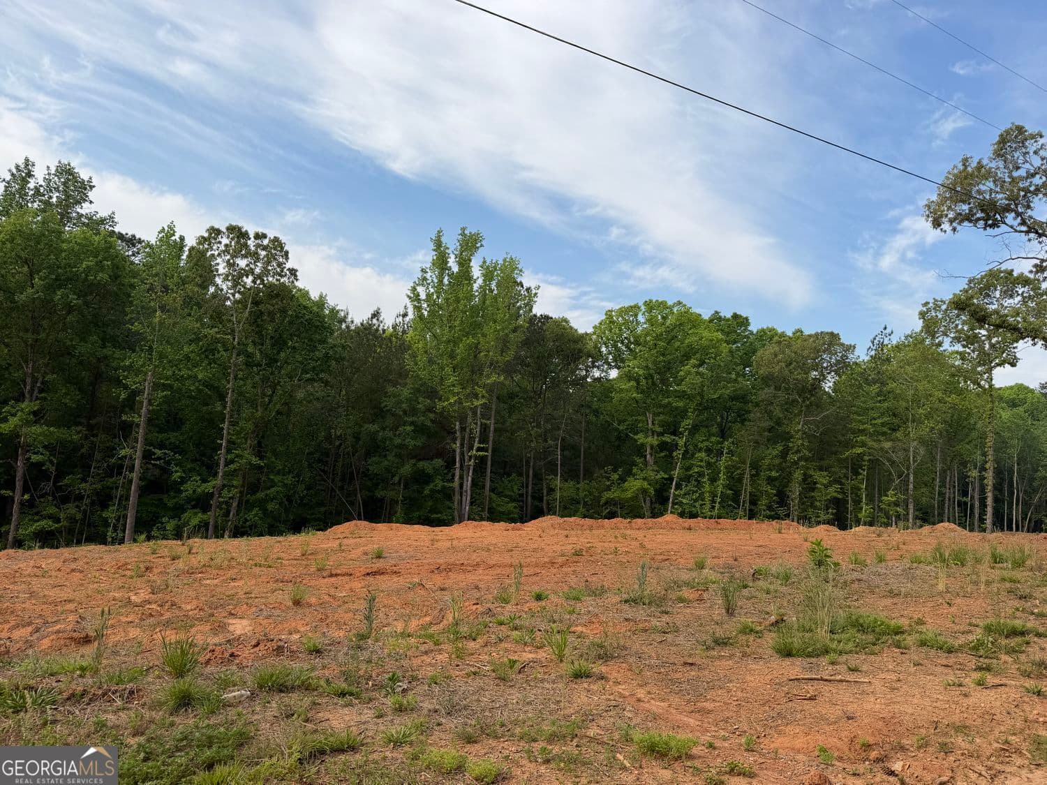 estate lot for sale at 1492 English Road, Forsyth, GA 31029 — photo 4