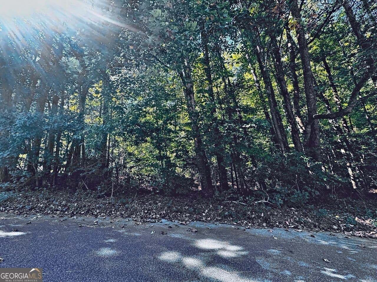 residential lot for sale at 3349 Confederate Point, Canton, GA 30115 — photo 2