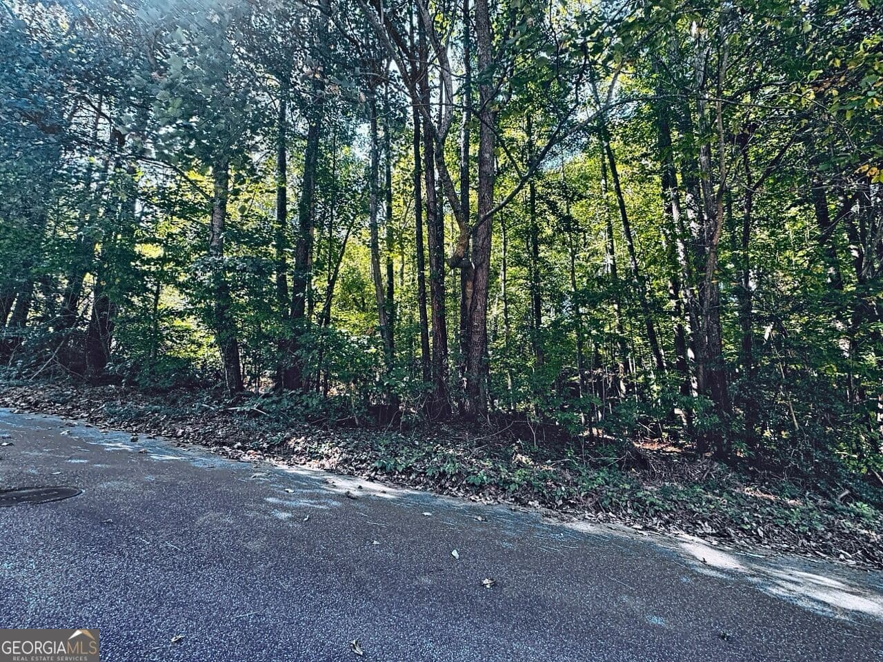 residential lot for sale at 3349 Confederate Point, Canton, GA 30115 — photo 3