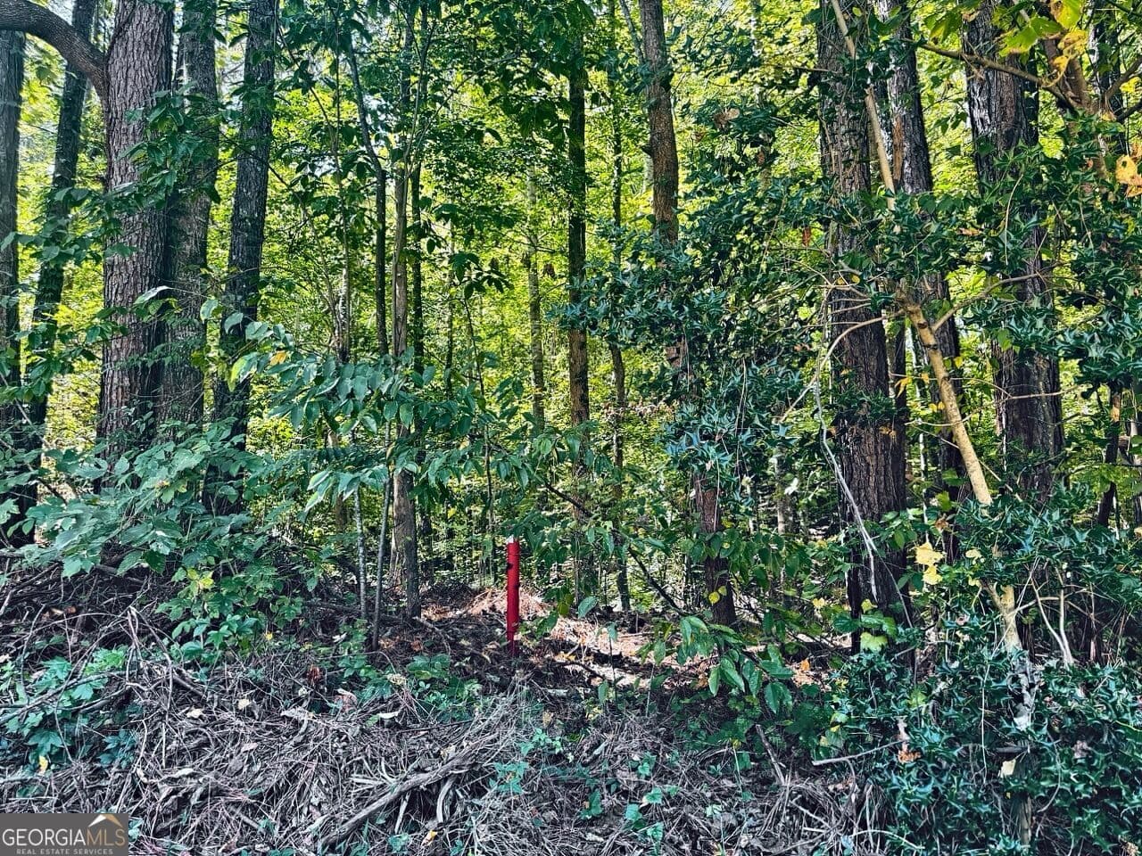 residential lot for sale at 3349 Confederate Point, Canton, GA 30115 — photo 1 of 3