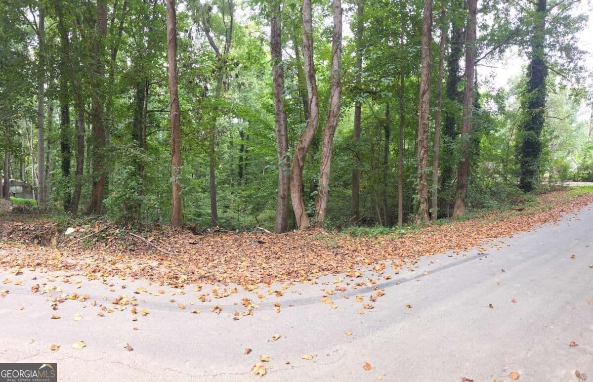 residential lot for sale at 3828 Lance Drive, Flowery Branch, GA 30542 — photo 2