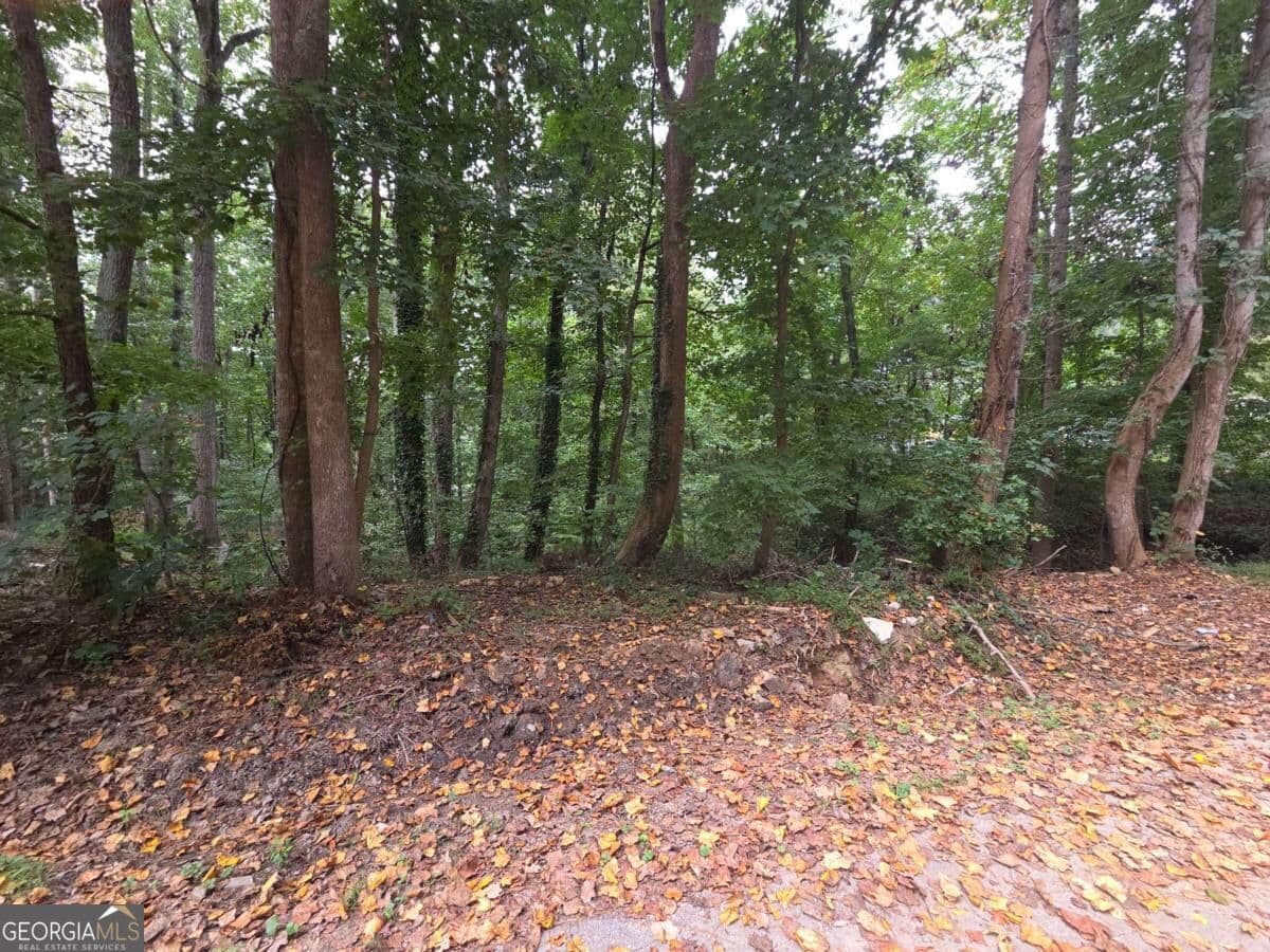 residential lot for sale at 3828 Lance Drive, Flowery Branch, GA 30542 — photo 3