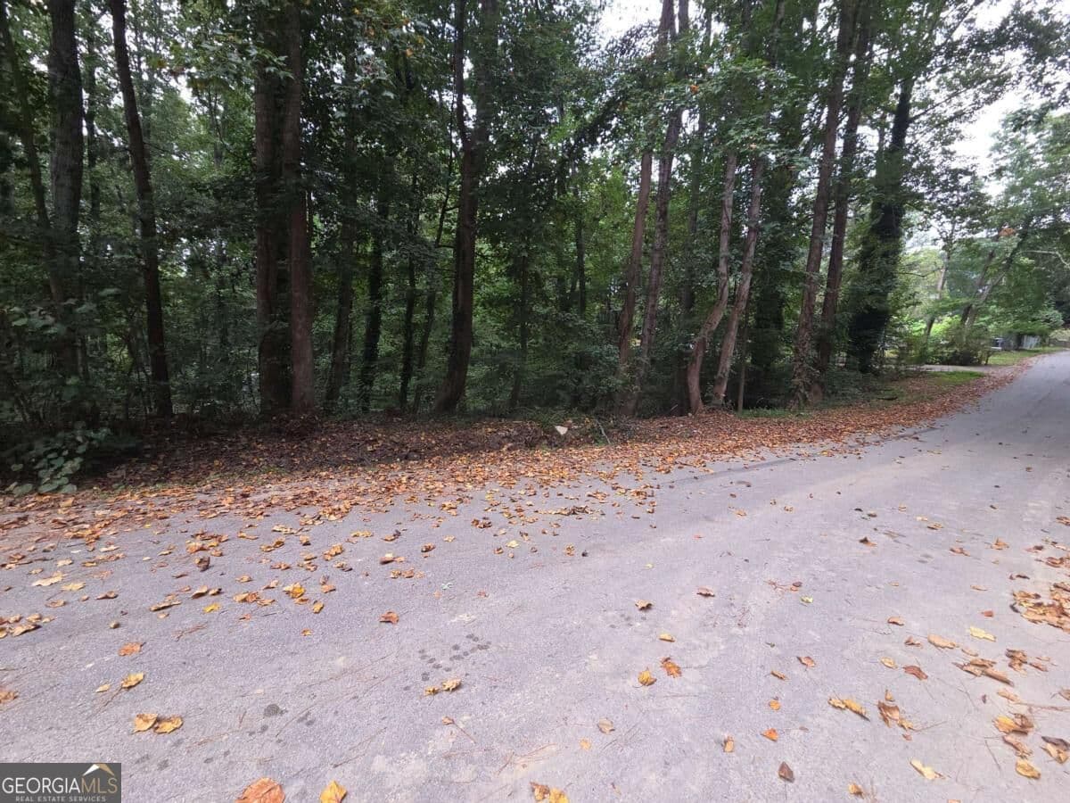 residential lot for sale at 3828 Lance Drive, Flowery Branch, GA 30542 — photo 4
