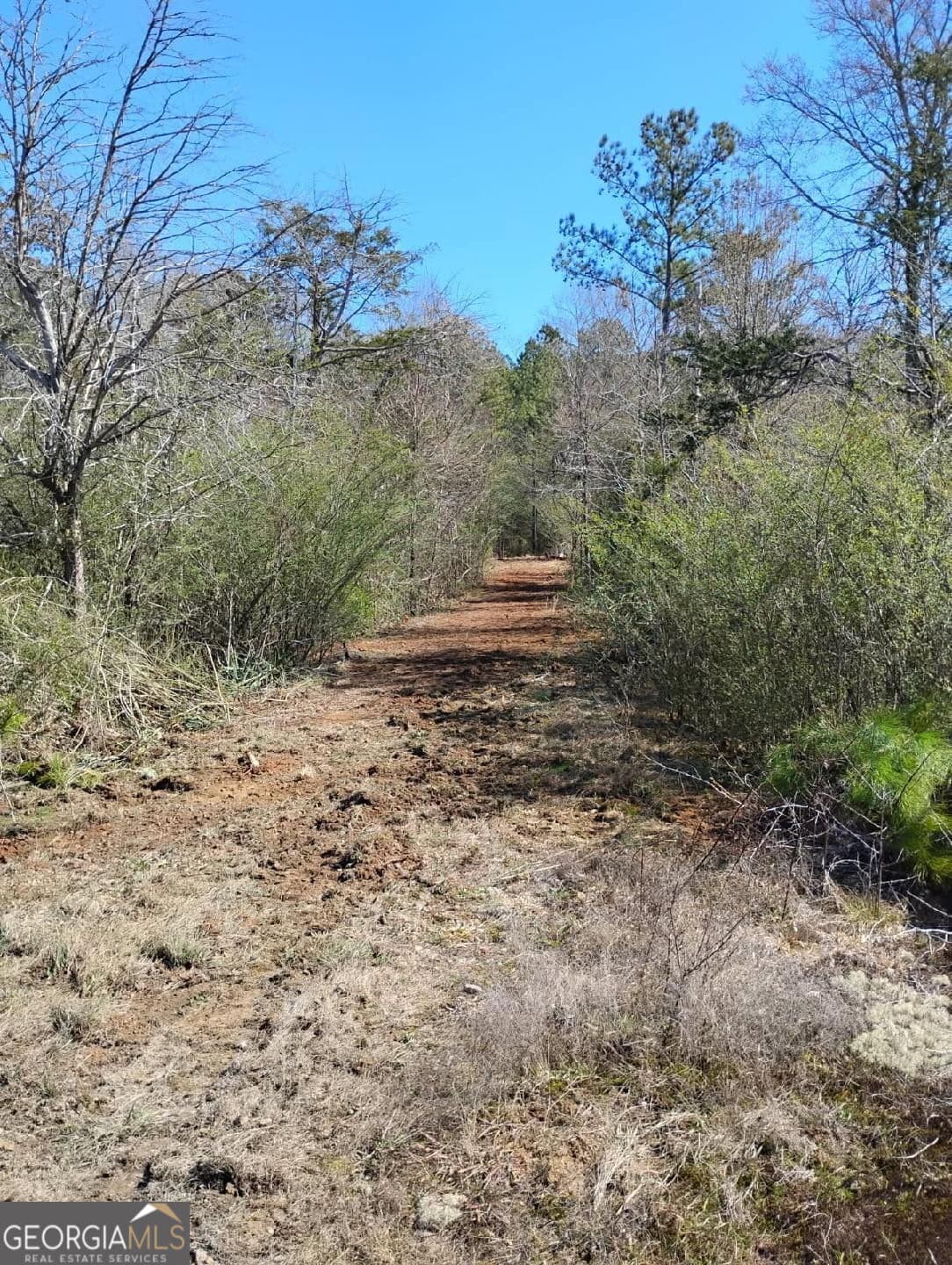 unimproved land for sale at 0 Costley Mill Road, Conyers, GA 30013 — photo 2