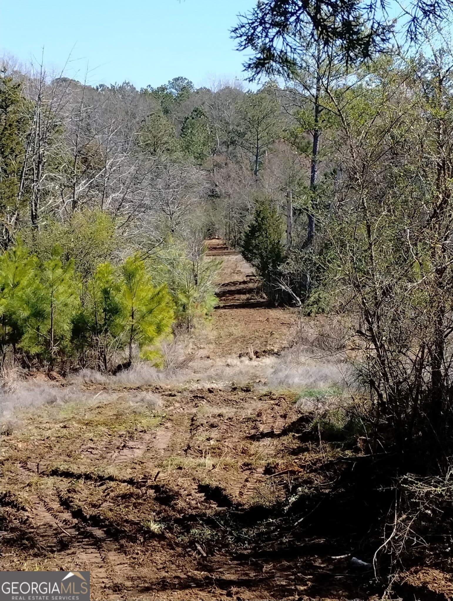 unimproved land for sale at 0 Costley Mill Road, Conyers, GA 30013 — photo 1 of 3