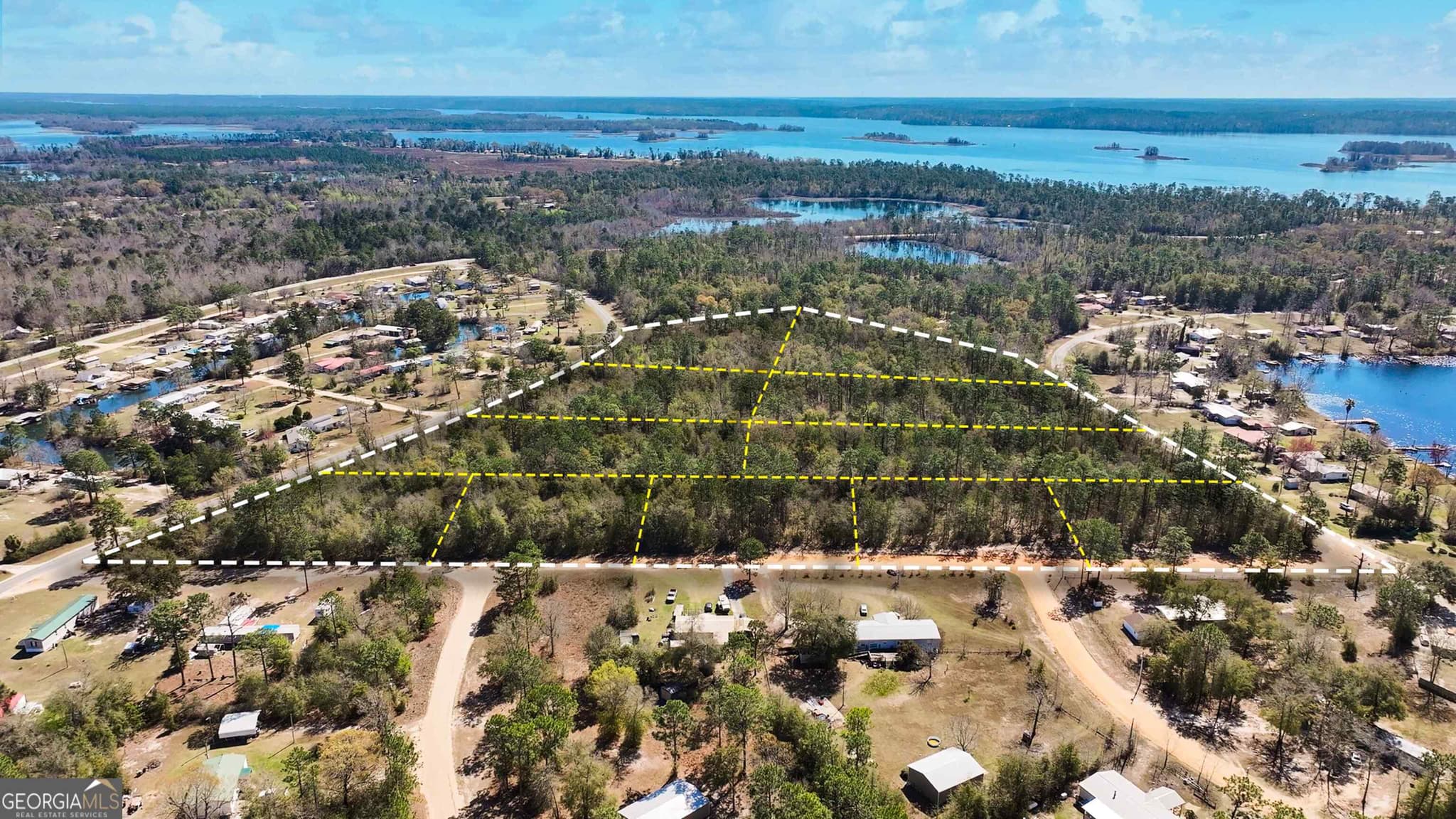 residential lot for sale at 8249 Lake Carroll Drive, Donalsonville, GA 39845 — photo 6