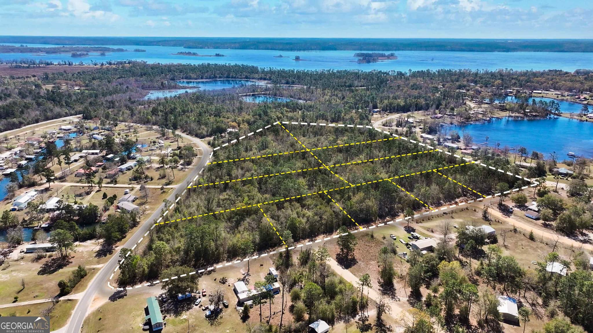 residential lot for sale at 8249 Lake Carroll Drive, Donalsonville, GA 39845 — photo 7