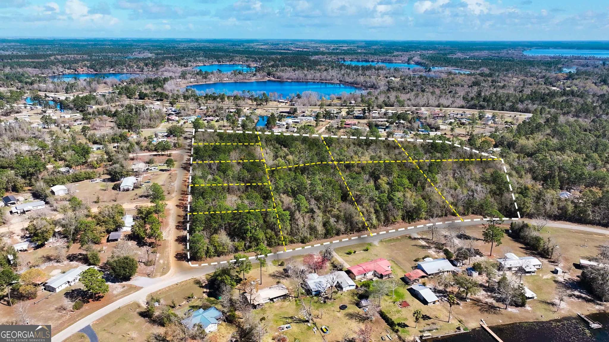 residential lot for sale at 8249 Lake Carroll Drive, Donalsonville, GA 39845 — photo 3
