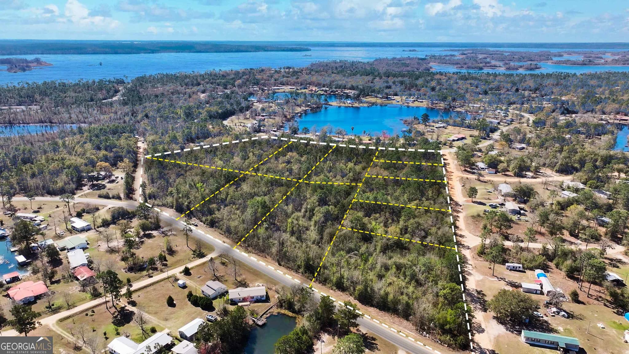 residential lot for sale at 8249 Lake Carroll Drive, Donalsonville, GA 39845 — photo 1 of 43
