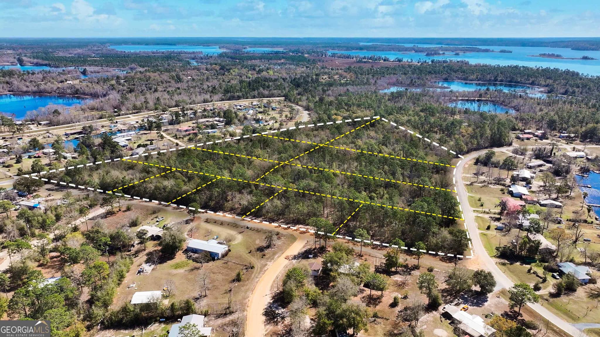 residential lot for sale at 8249 Lake Carroll Drive, Donalsonville, GA 39845 — photo 5