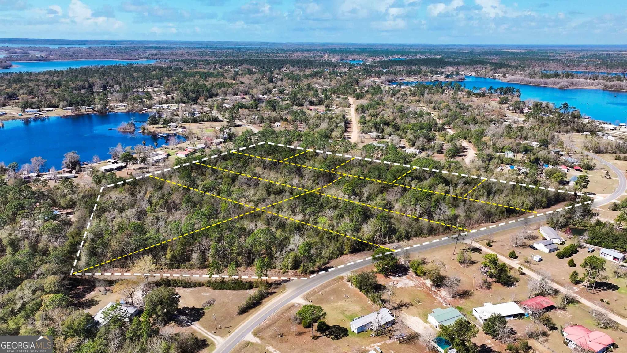 residential lot for sale at 8249 Lake Carroll Drive, Donalsonville, GA 39845 — photo 9
