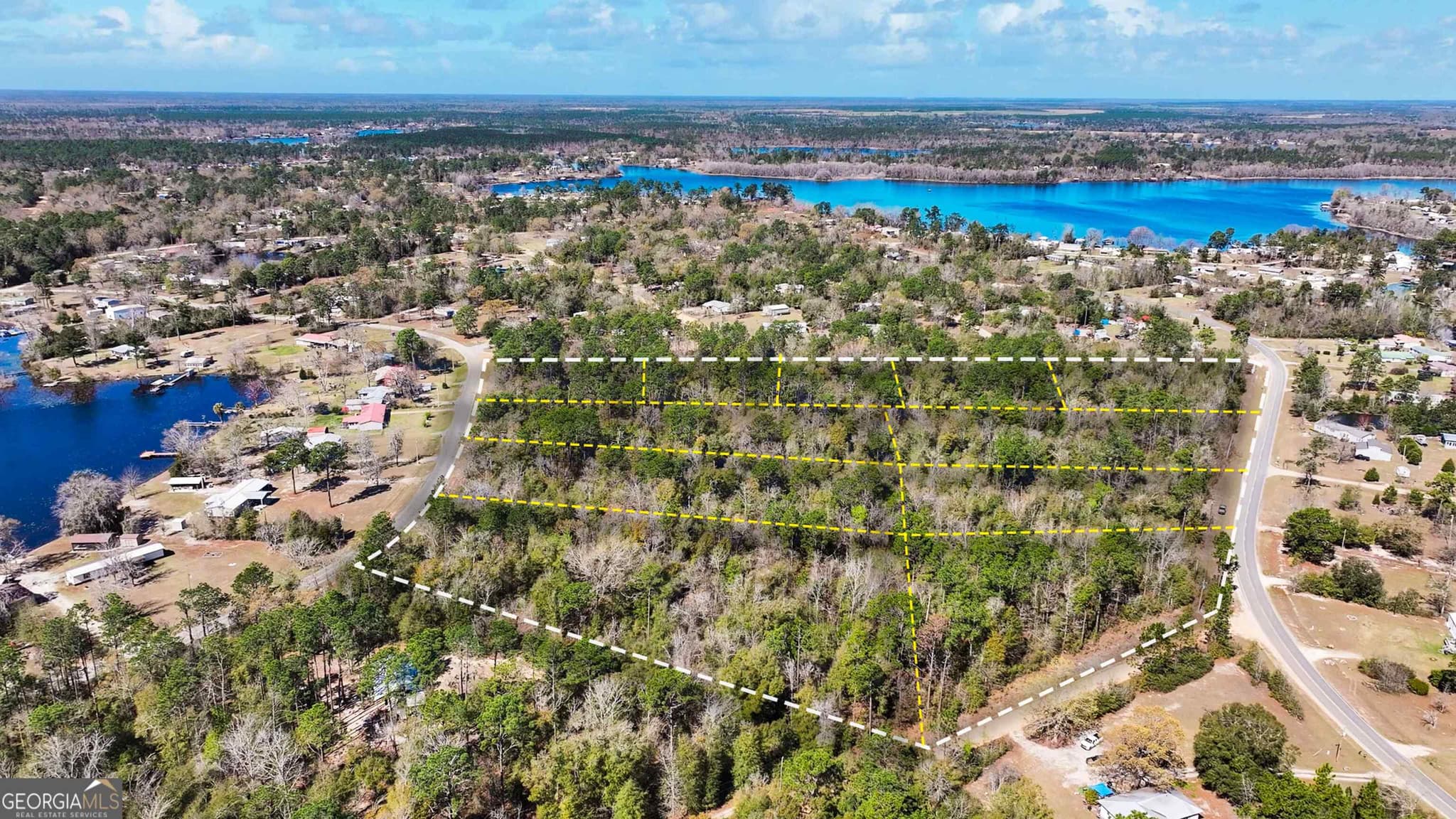 residential lot for sale at 8249 Lake Carroll Drive, Donalsonville, GA 39845 — photo 10