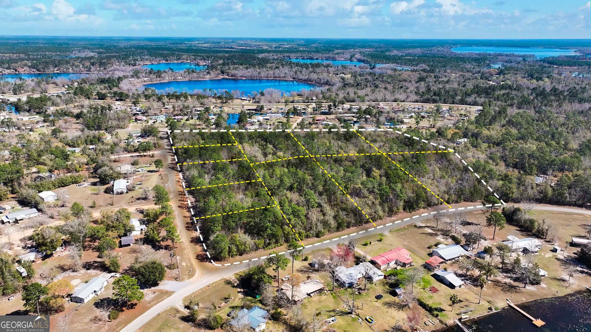 residential lot for sale at 8249 Lake Carroll Drive, Donalsonville, GA 39845 — photo 4