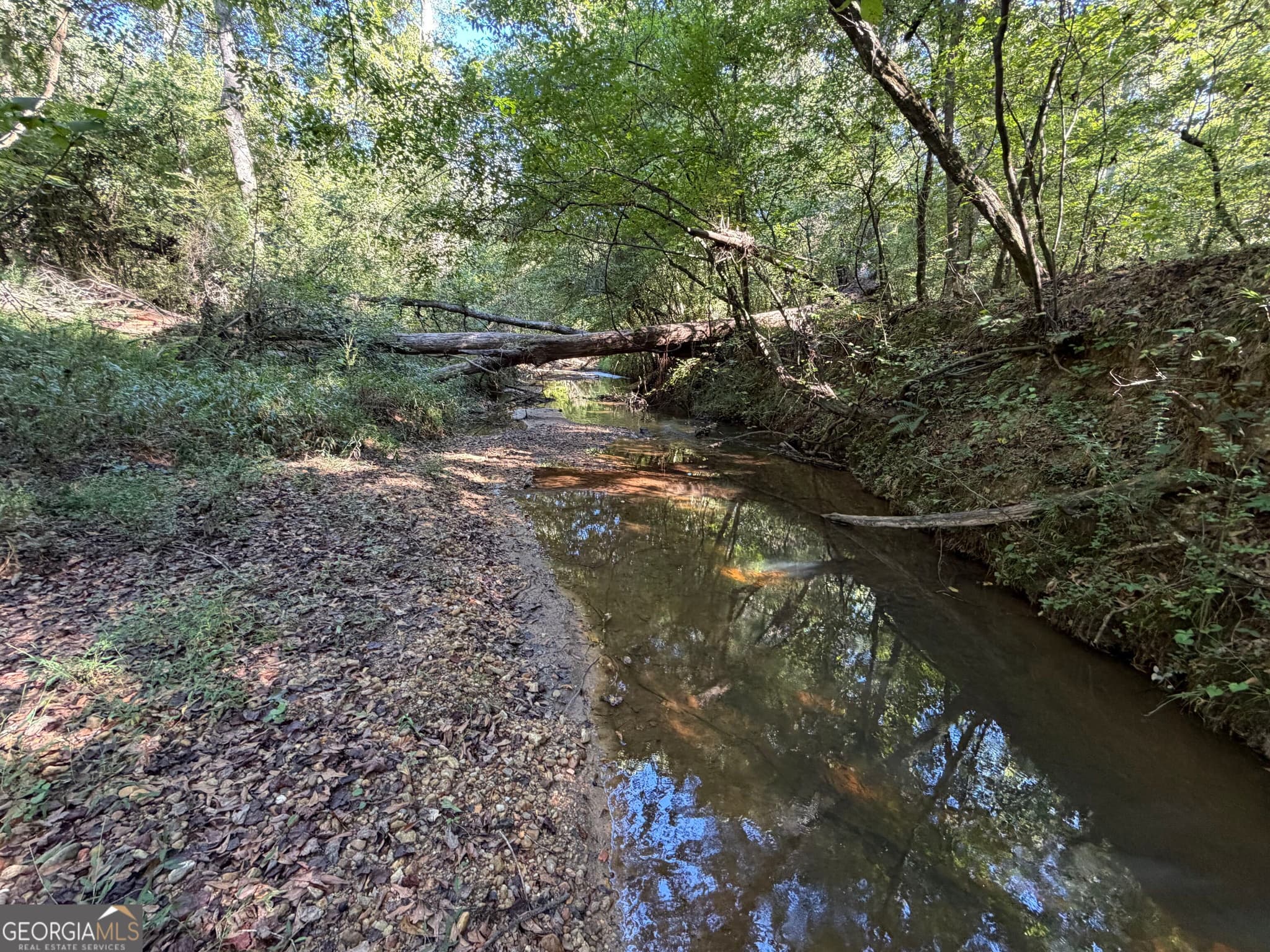 agriculture under contract at 0 Old Tennessee Road 2, Franklin, GA 30217 — photo 2