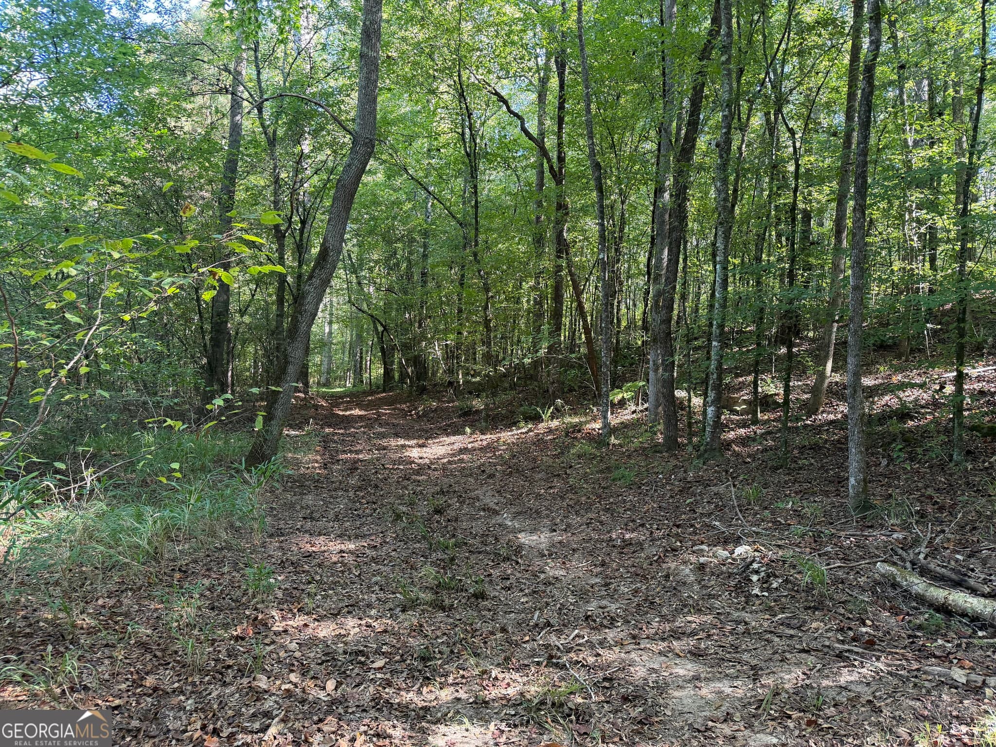 agriculture under contract at 0 Old Tennessee Road 2, Franklin, GA 30217 — photo 6