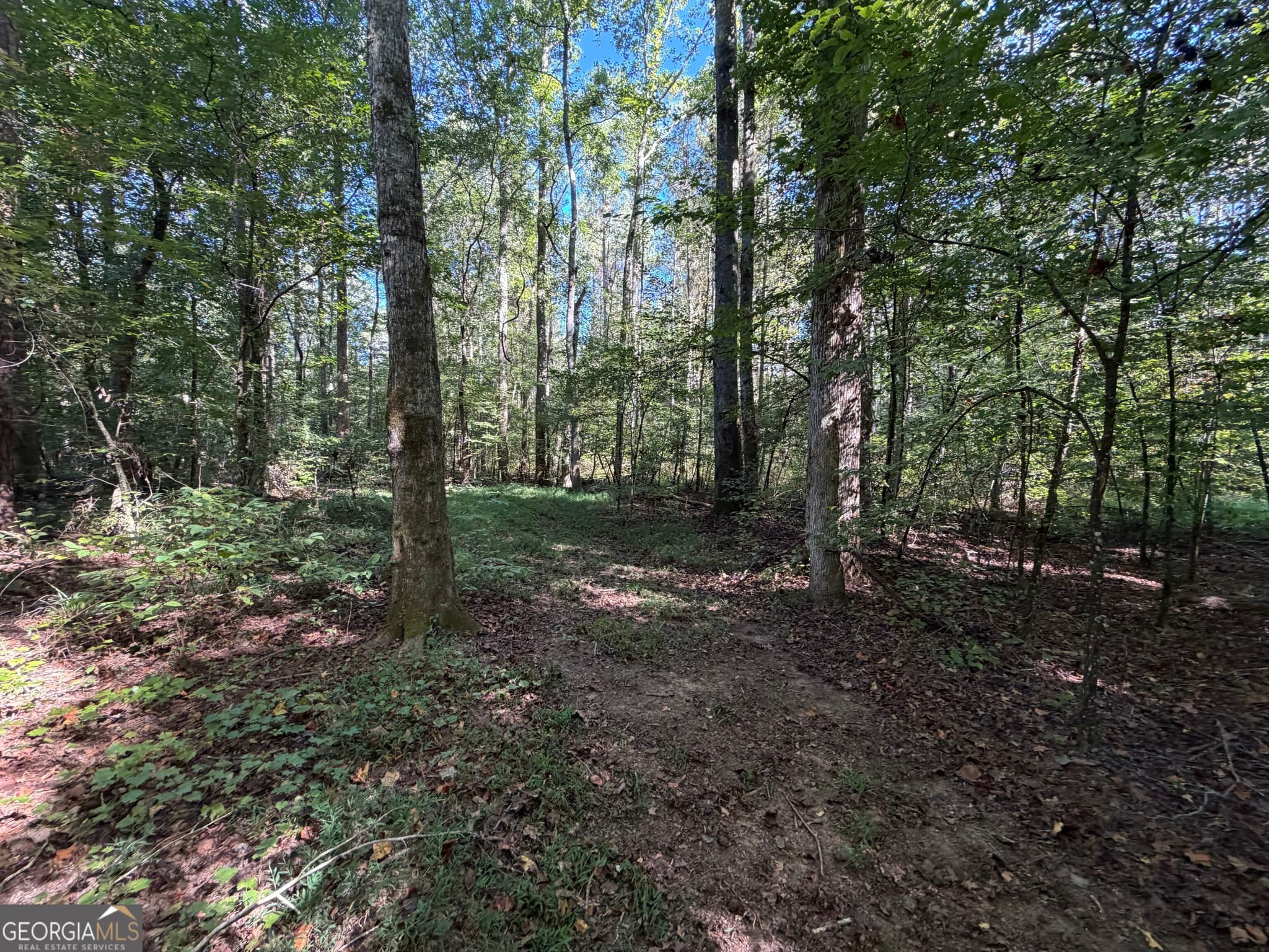 agriculture under contract at 0 Old Tennessee Road 2, Franklin, GA 30217 — photo 7