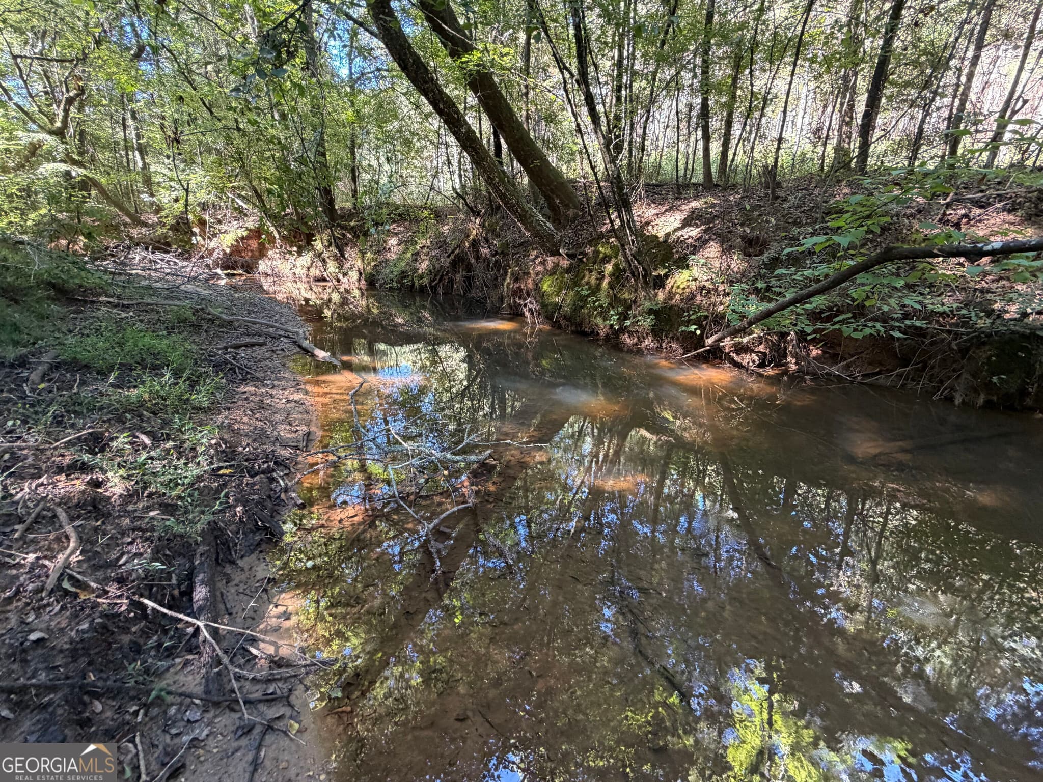 agriculture under contract at 0 Old Tennessee Road 2, Franklin, GA 30217 — photo 3