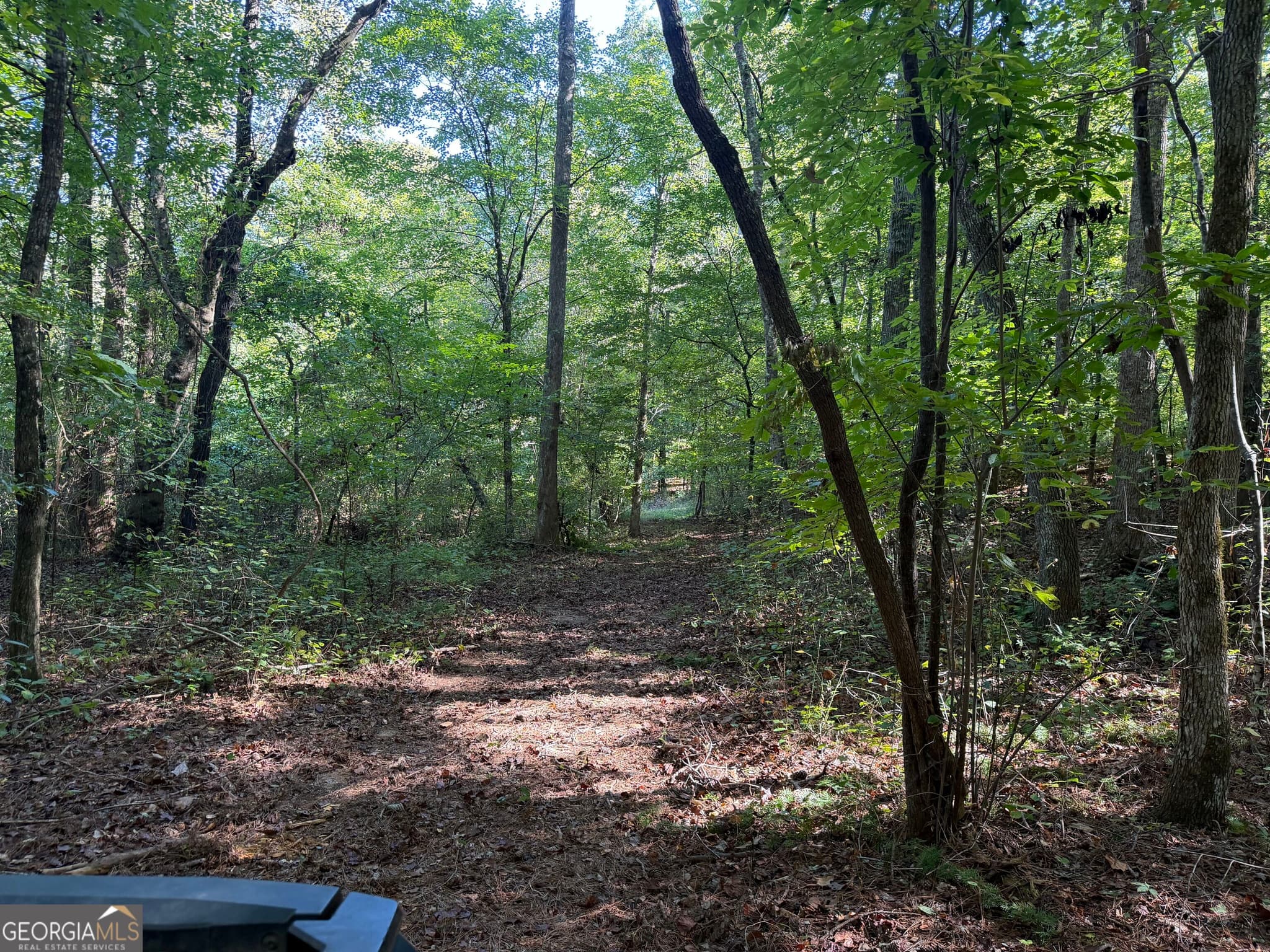 agriculture under contract at 0 Old Tennessee Road 2, Franklin, GA 30217 — photo 9