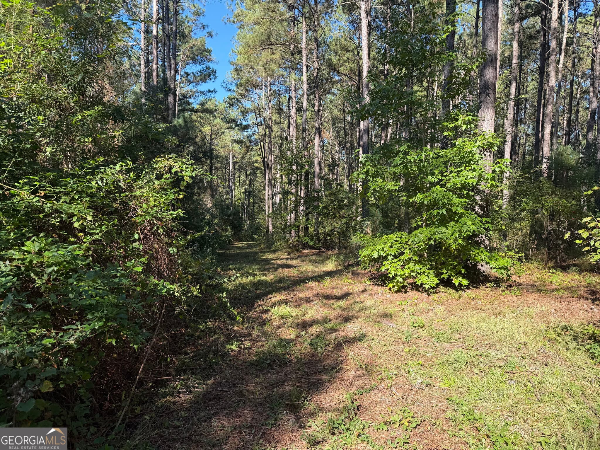 agriculture under contract at 0 Old Tennessee Road 2, Franklin, GA 30217 — photo 10
