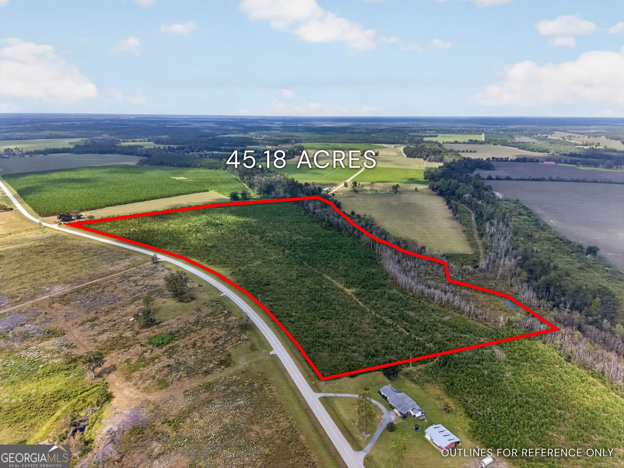 agriculture under contract at TRACT 2 Highway 203, Blackshear, GA 31516 — photo 2