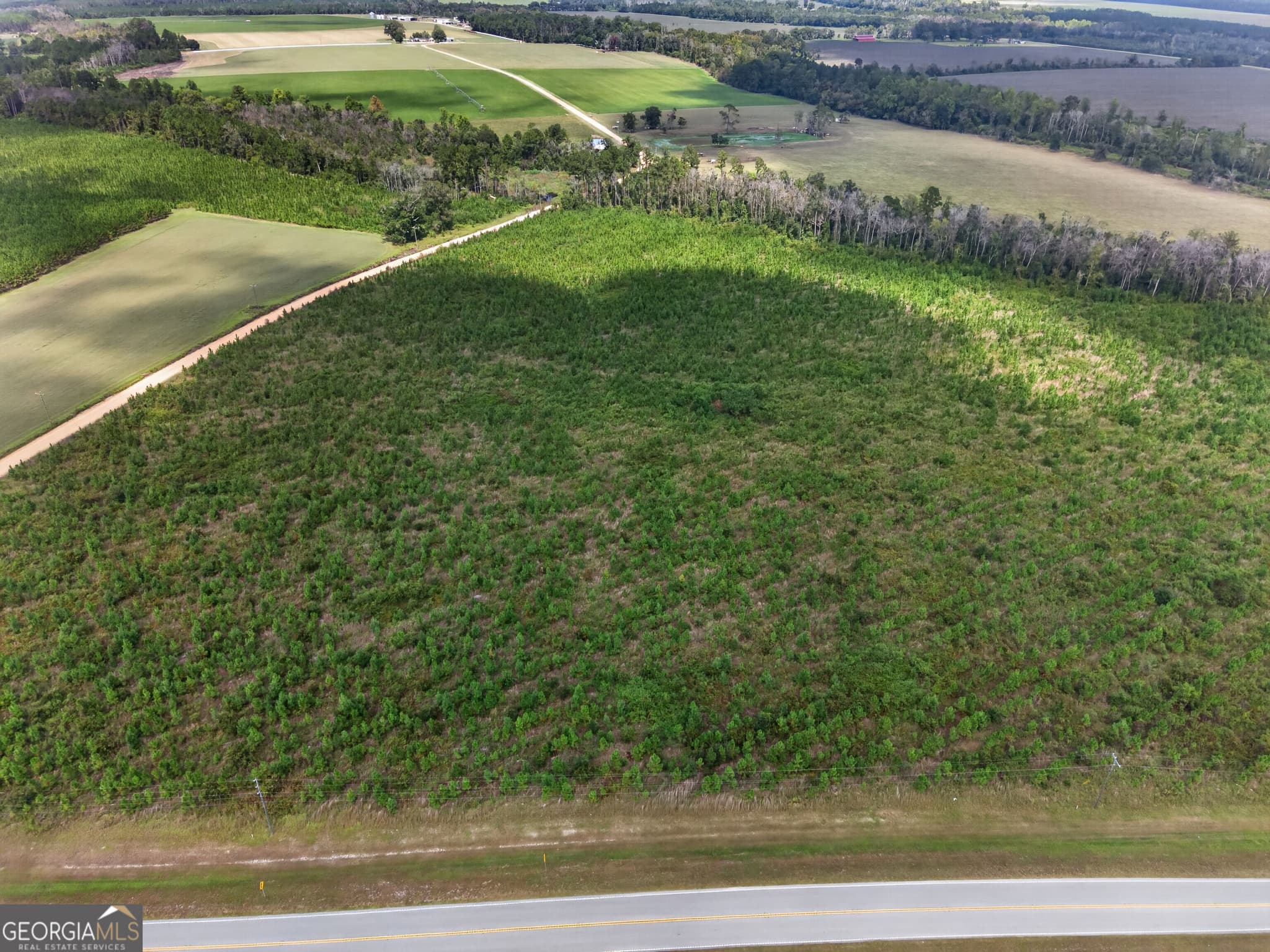 agriculture under contract at TRACT 2 Highway 203, Blackshear, GA 31516 — photo 6