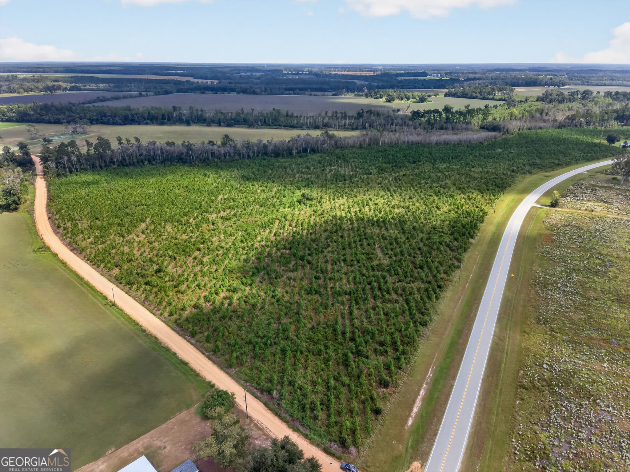 agriculture under contract at TRACT 2 Highway 203, Blackshear, GA 31516 — photo 7