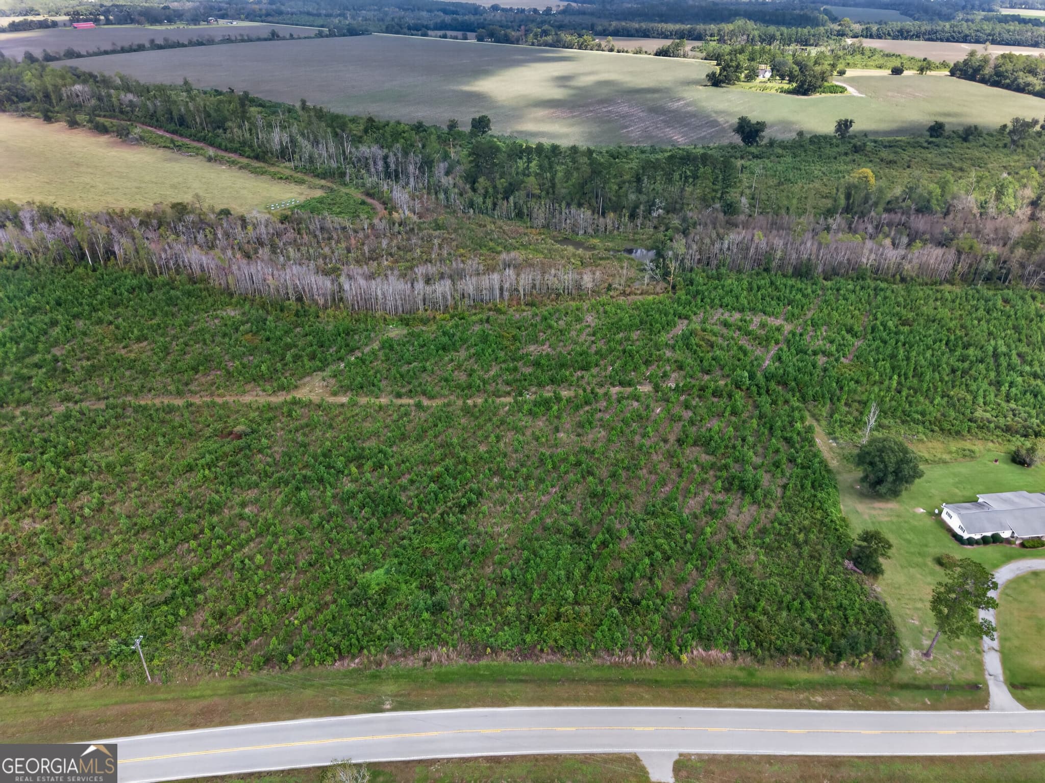 agriculture under contract at TRACT 2 Highway 203, Blackshear, GA 31516 — photo 3