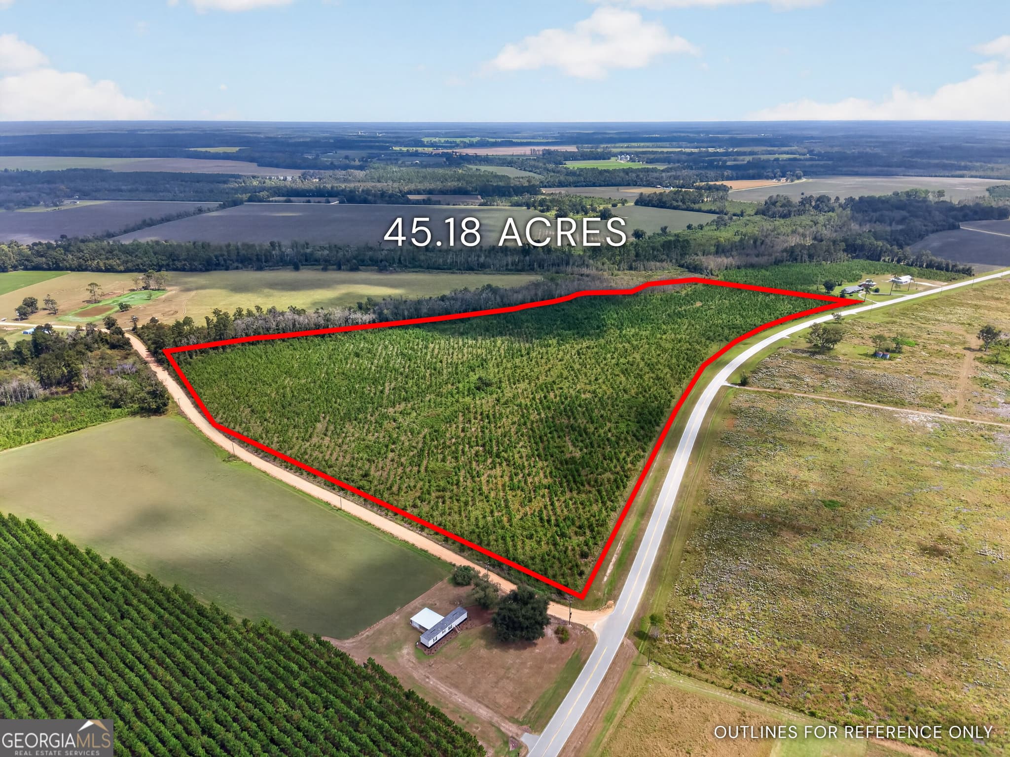 agriculture under contract at TRACT 2 Highway 203, Blackshear, GA 31516