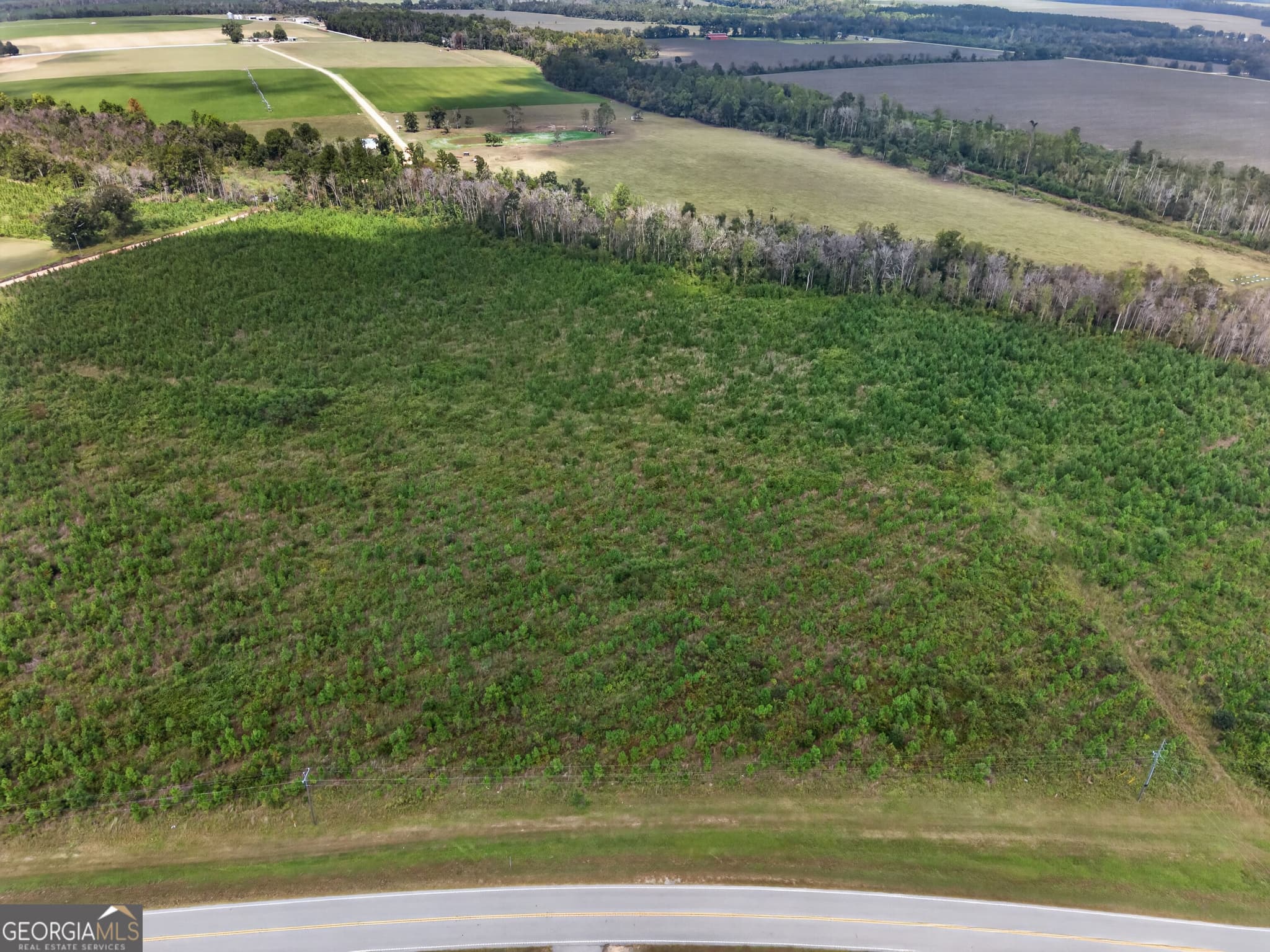 agriculture under contract at TRACT 2 Highway 203, Blackshear, GA 31516 — photo 5