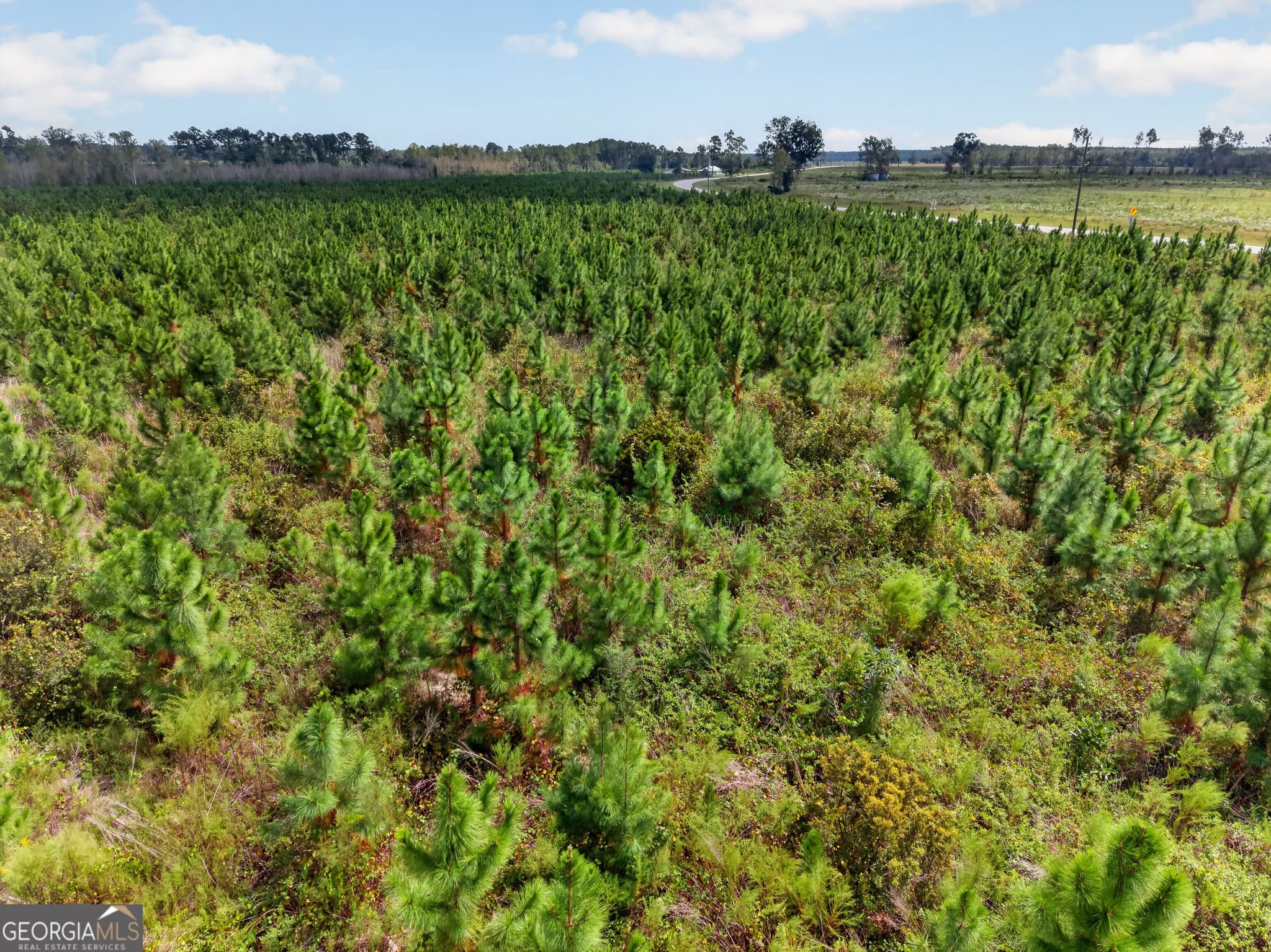 agriculture under contract at TRACT 2 Highway 203, Blackshear, GA 31516 — photo 9