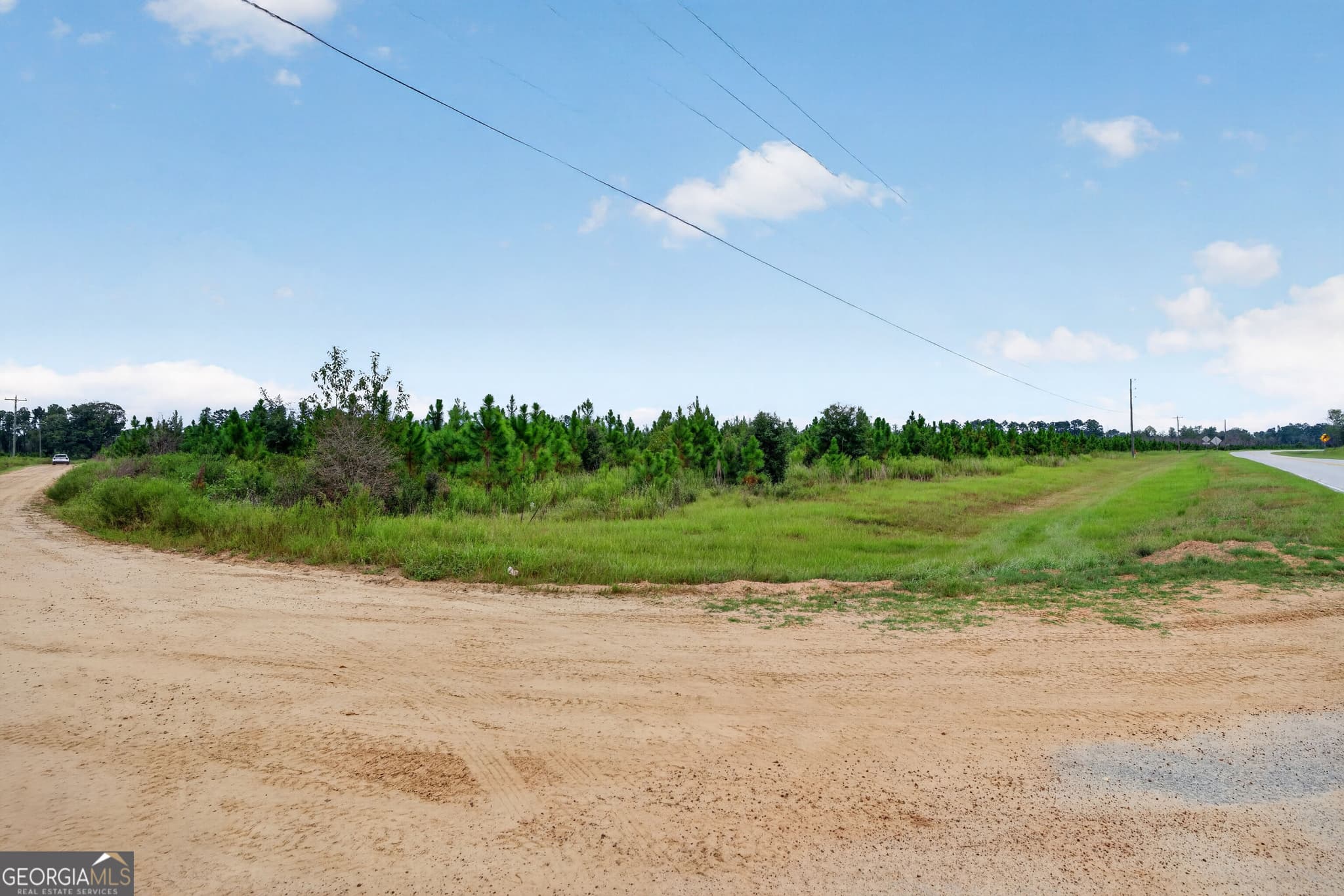 agriculture under contract at TRACT 2 Highway 203, Blackshear, GA 31516 — photo 10