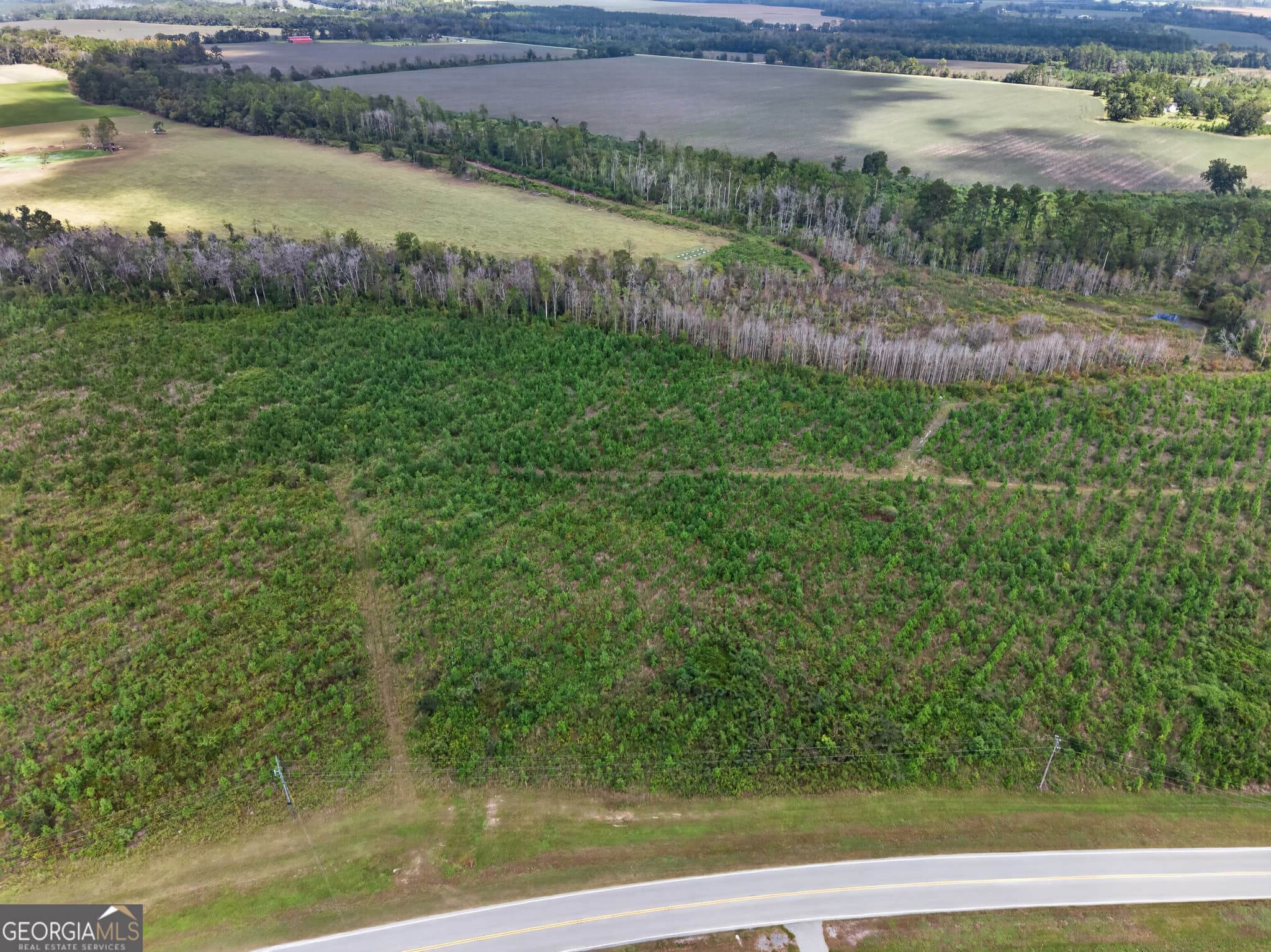 agriculture under contract at TRACT 2 Highway 203, Blackshear, GA 31516 — photo 4