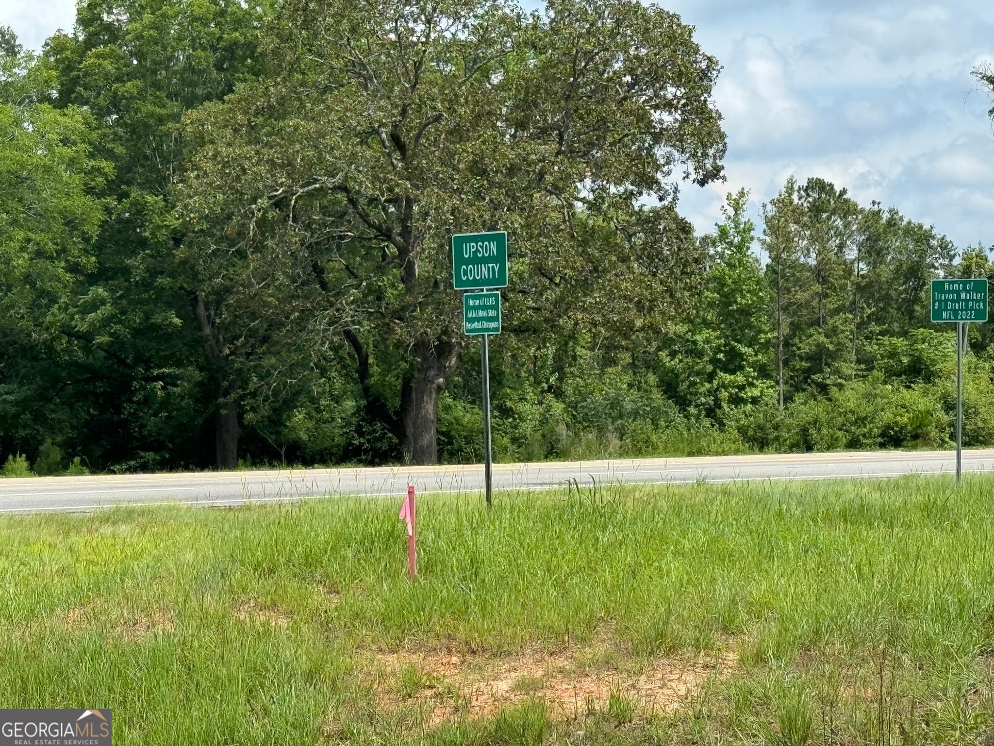 agriculture for sale at 3854 Us Hwy 19, Meansville, GA 30256 — photo 2