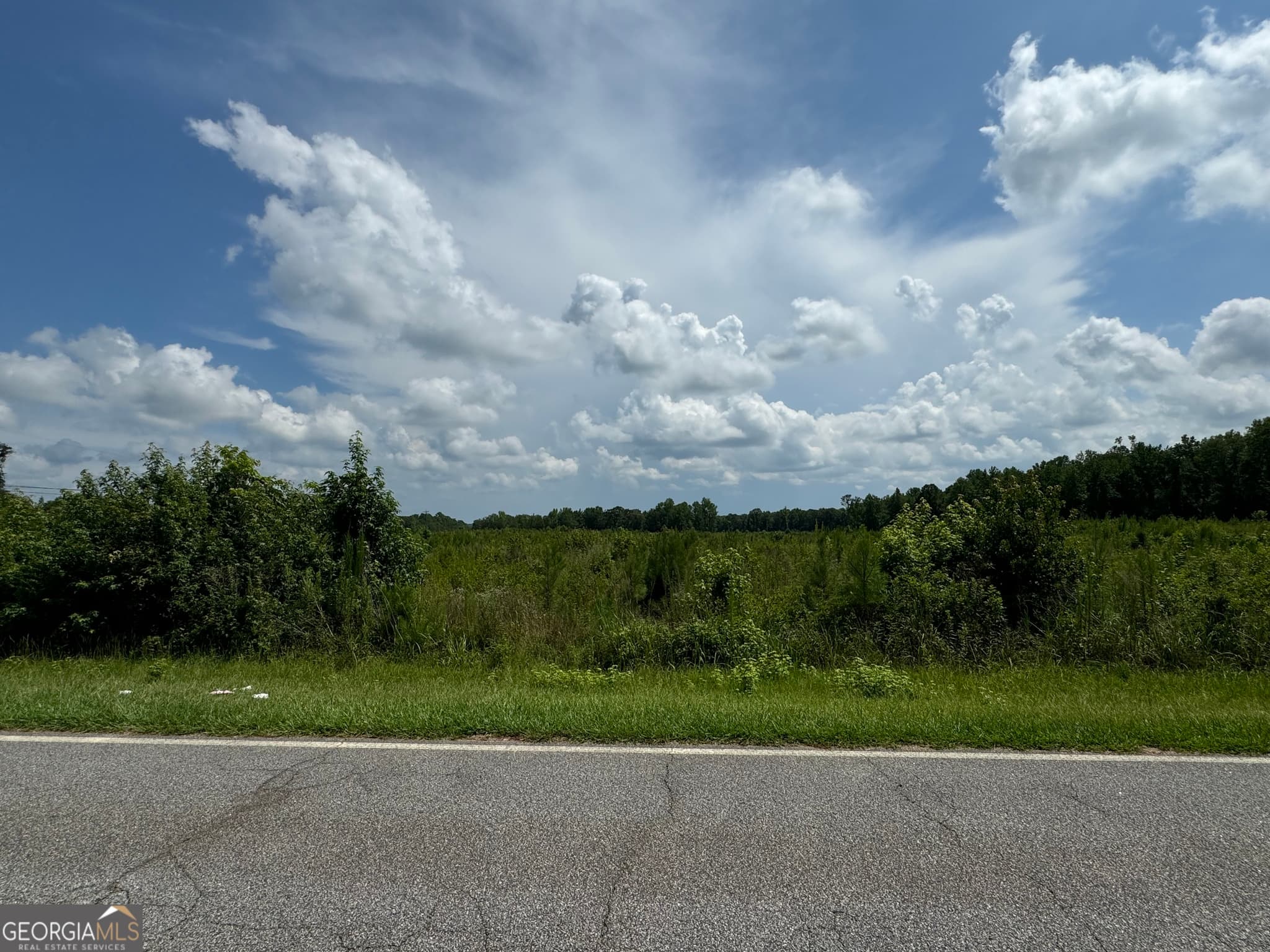 agriculture for sale at 3854 Us Hwy 19, Meansville, GA 30256 — photo 7