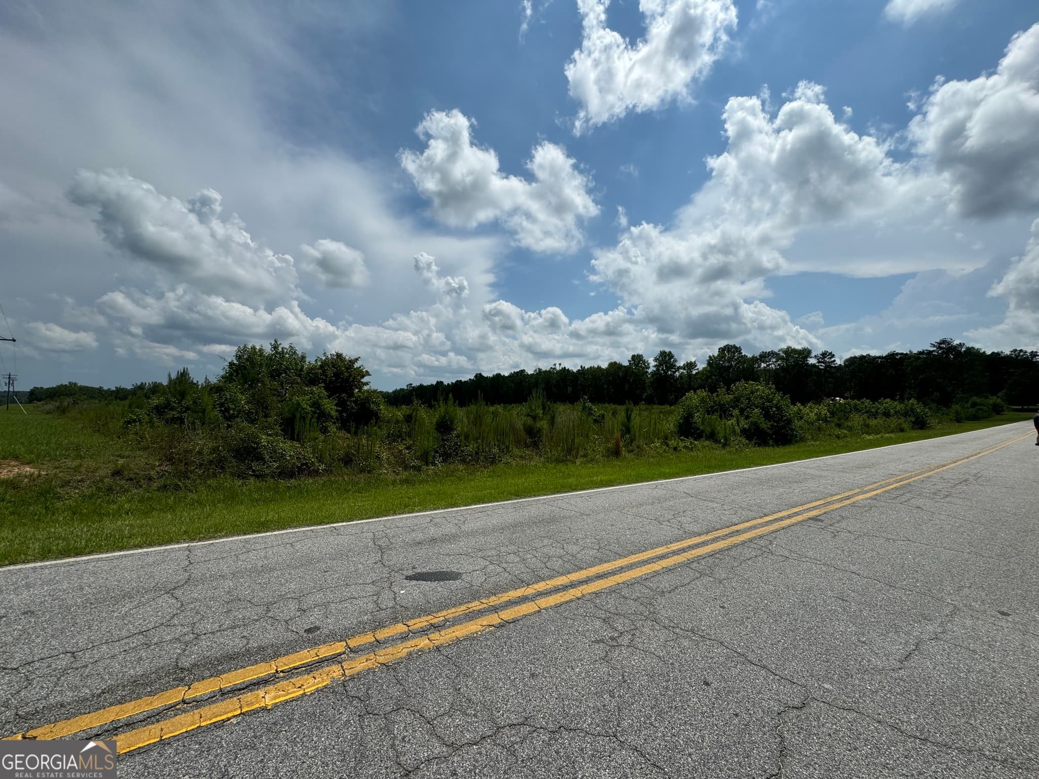 agriculture for sale at 3854 Us Hwy 19, Meansville, GA 30256 — photo 3