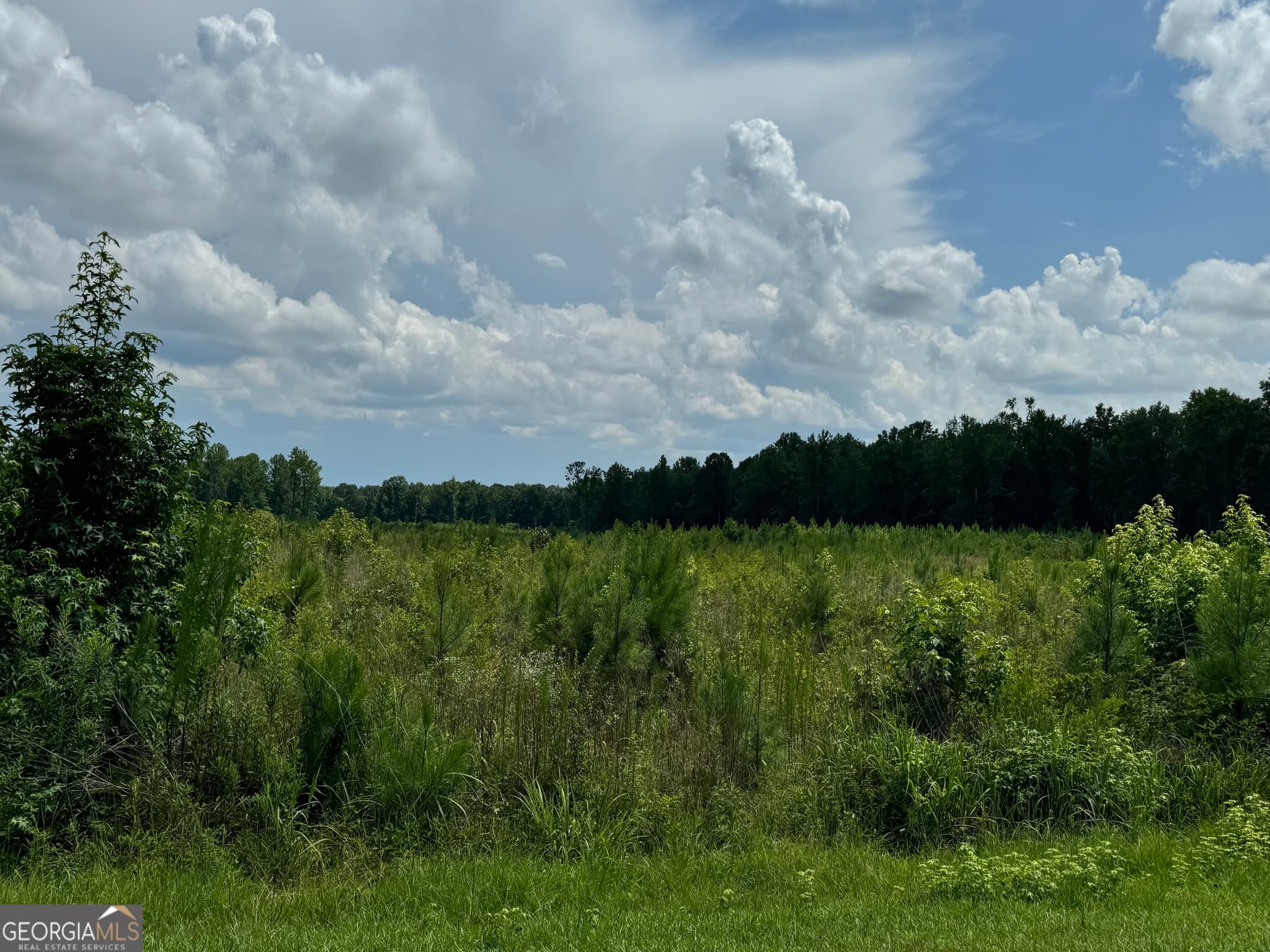 agriculture for sale at 3854 Us Hwy 19, Meansville, GA 30256 — photo 1 of 7
