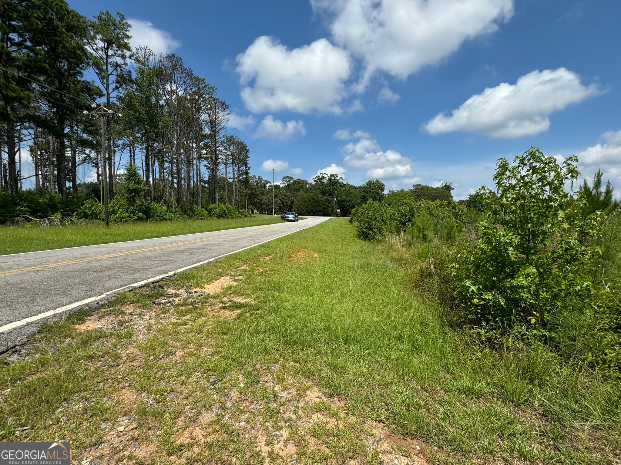 agriculture for sale at 3854 Us Hwy 19, Meansville, GA 30256 — photo 5