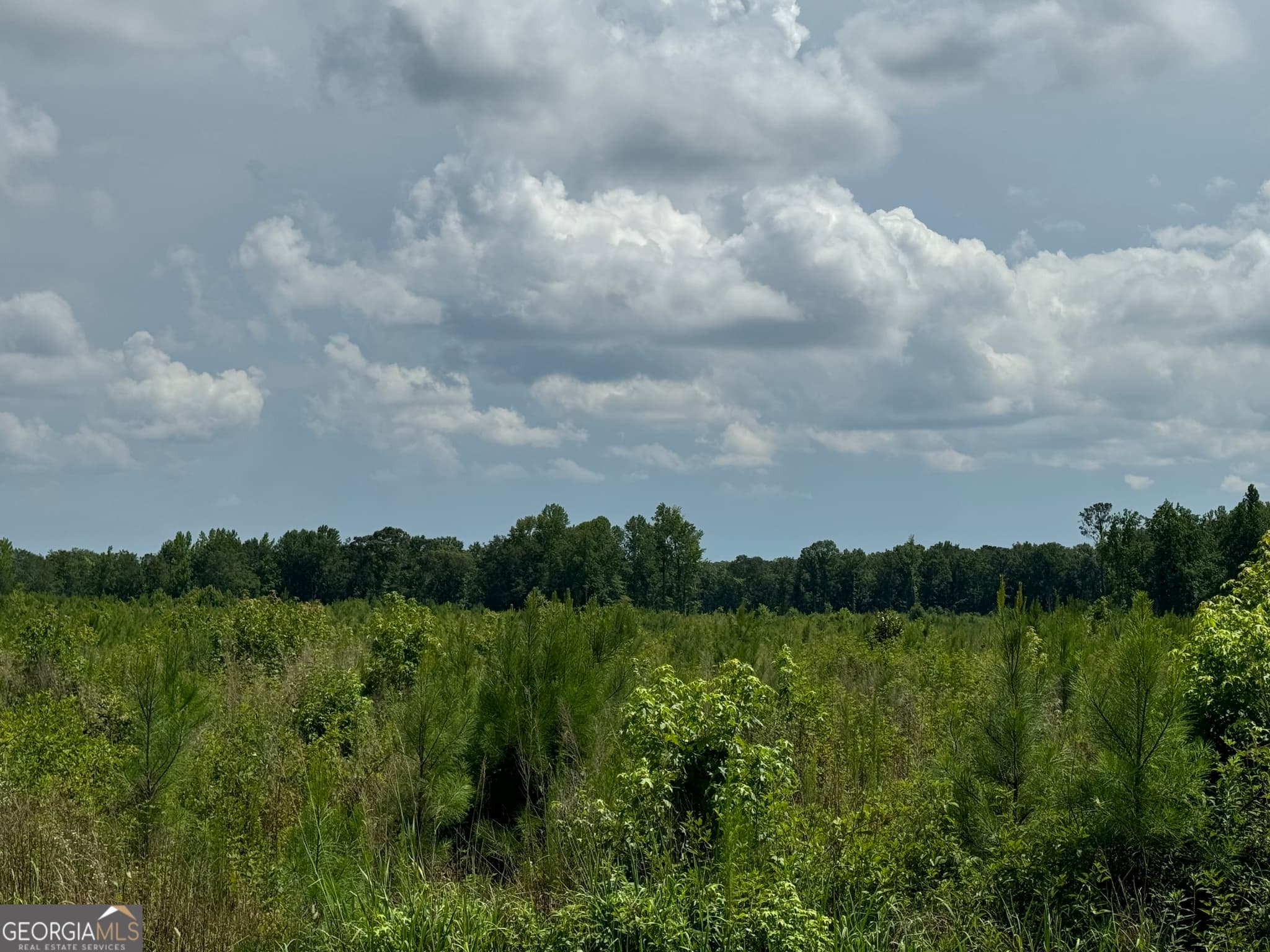 agriculture for sale at 3854 Us Hwy 19, Meansville, GA 30256 — photo 4