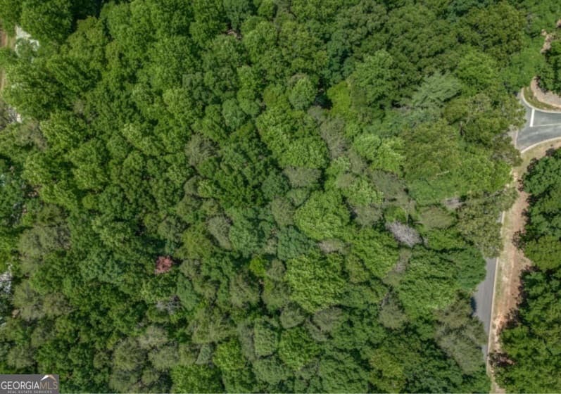 residential lot for sale at 0 Plum Lane, Clarkesville, GA 30523 — photo 3